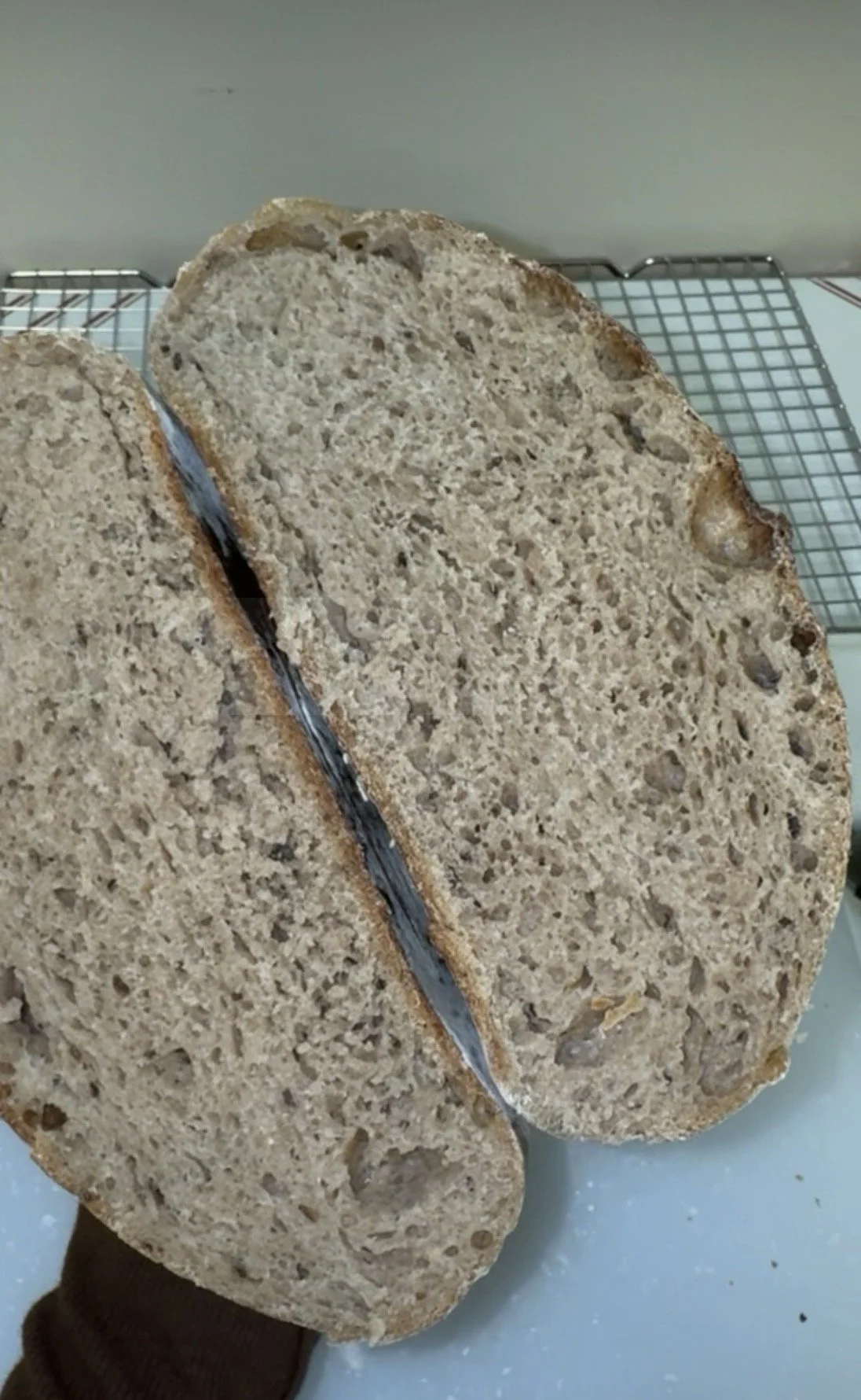 Rye