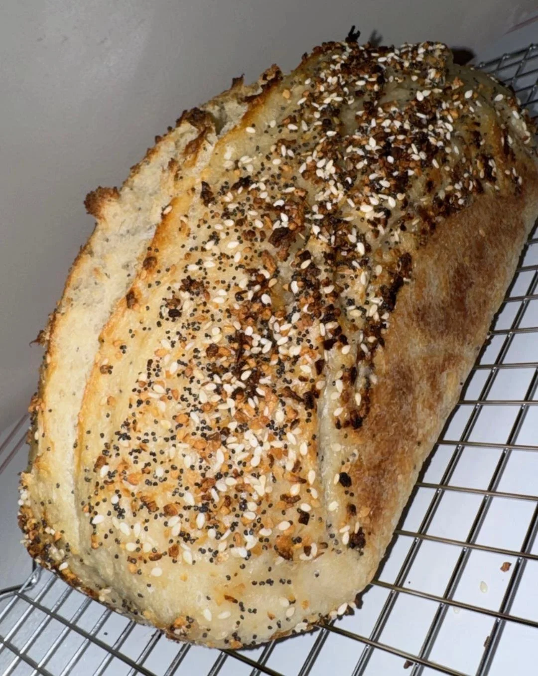 Everything but the Bagel