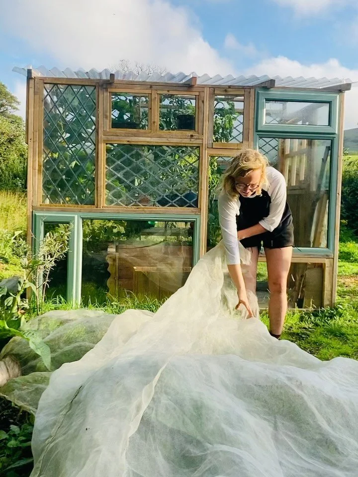 Reclaimed Patchwork Greenhouse

(reclaimed windows/glass, reclaimed construction timber, reclaimed concrete pads) 

Move through this photo series to see process!

Highlighting this lovely and constant comment producer, built and designed by @soily_a