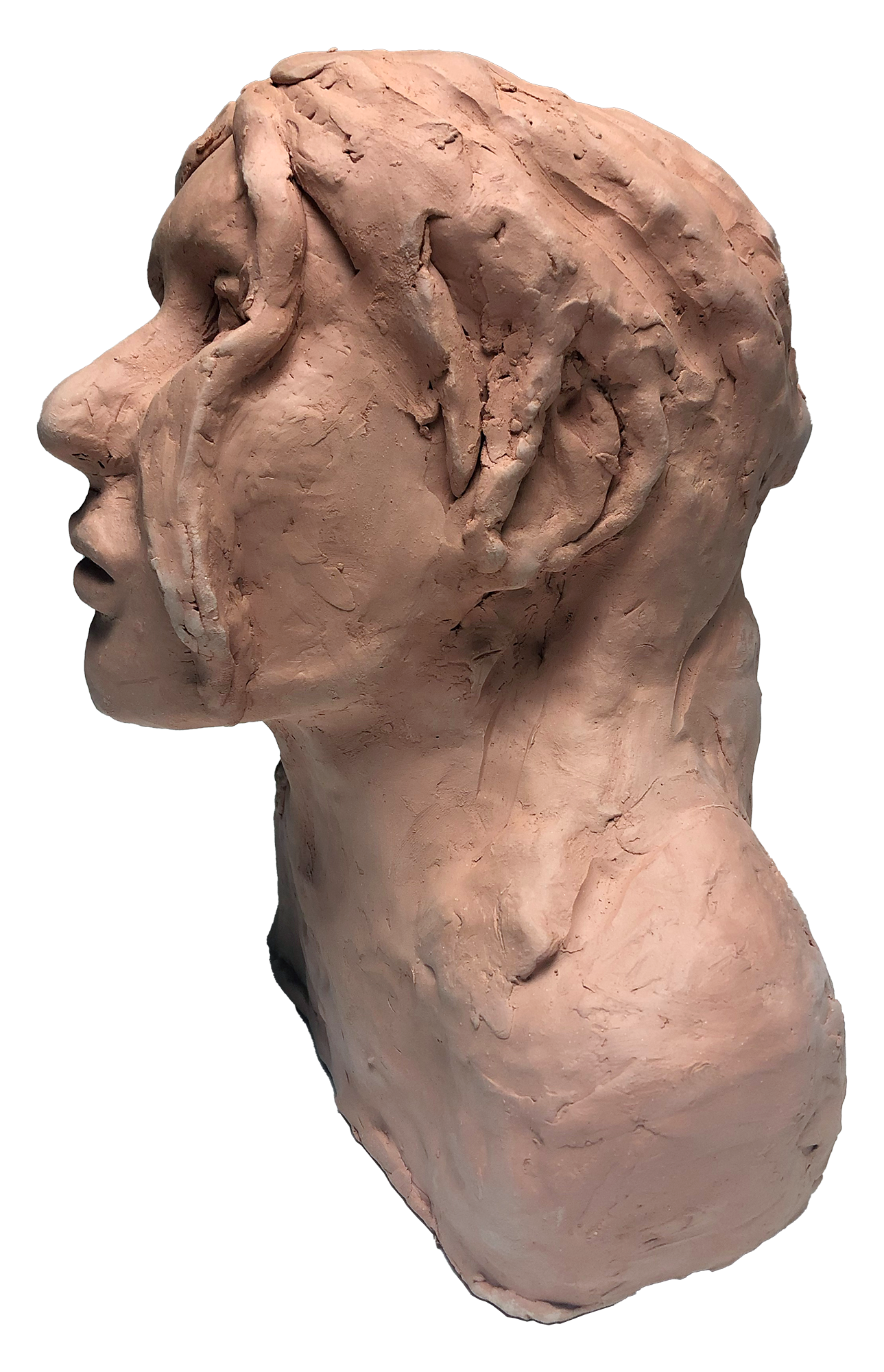 bust33.png