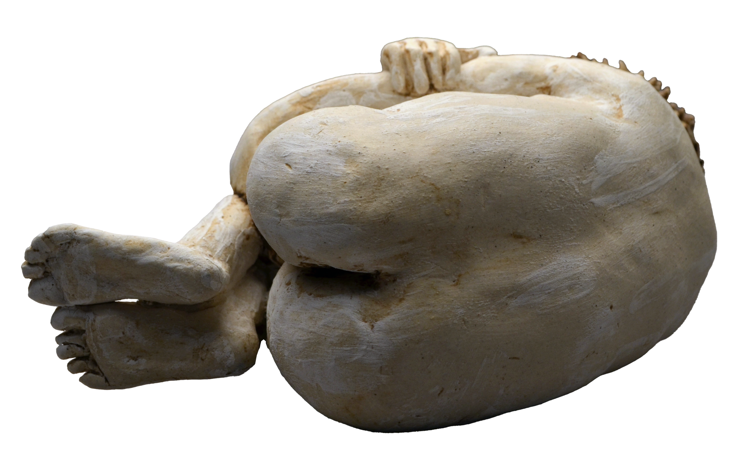 curled3-ceramic-2014.png