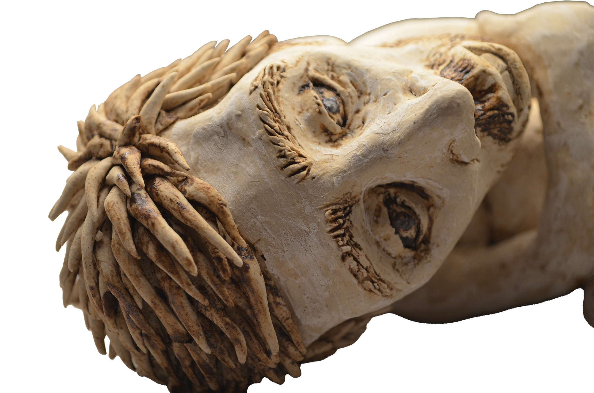 curled0-ceramic-2014.png