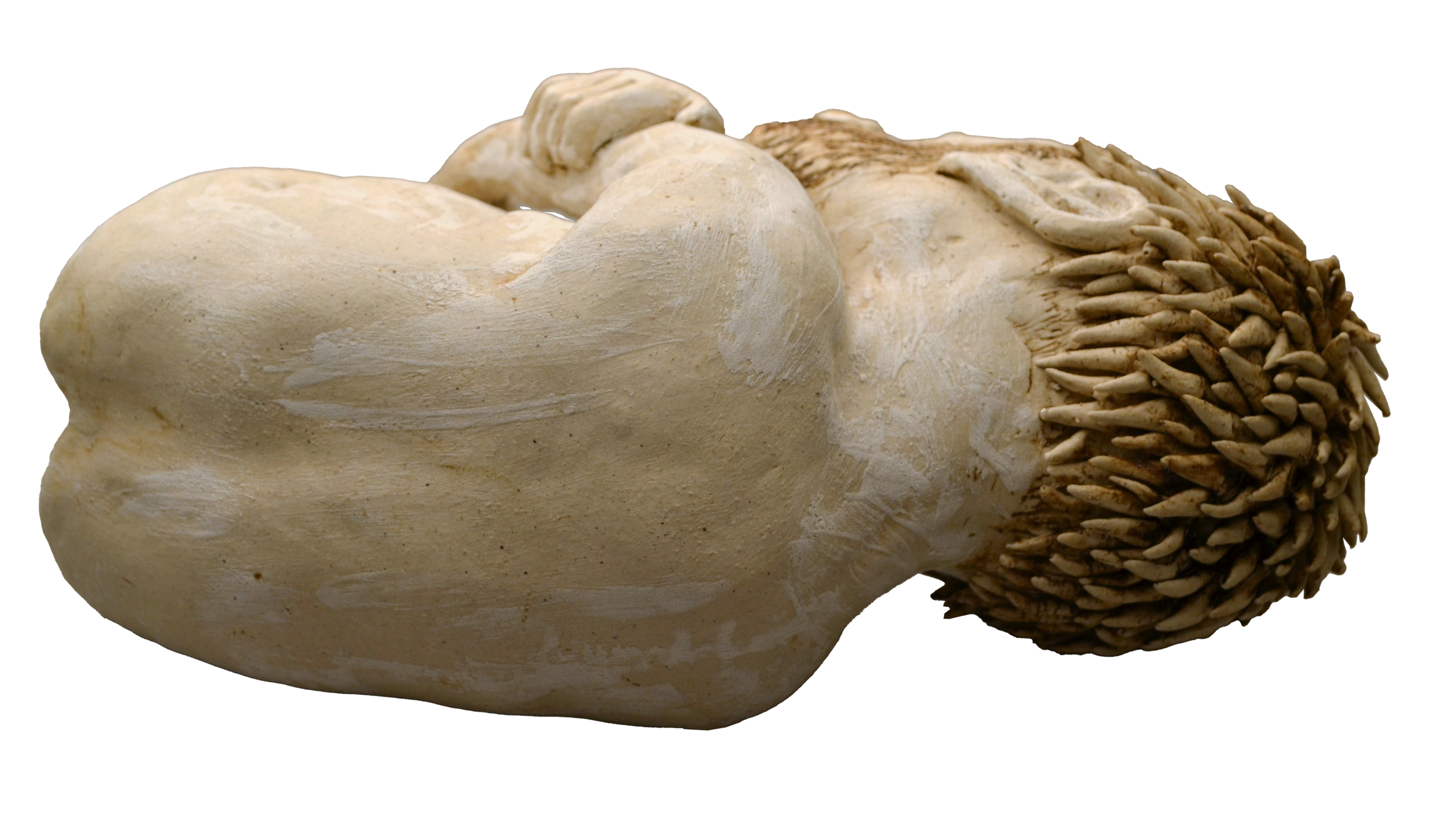 curled2-ceramic-2014.png