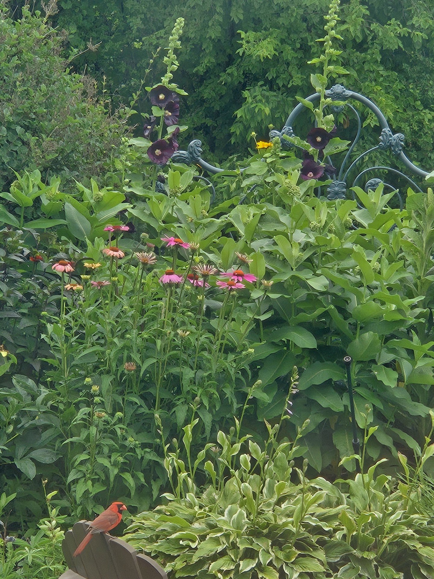 Pause to Smell the Wildflowers