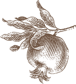 Lizzie + Evan  (Copy)