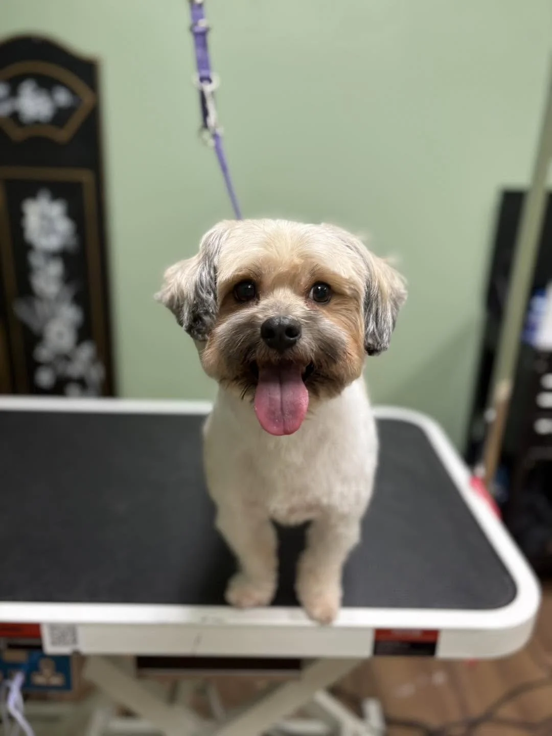 Milo