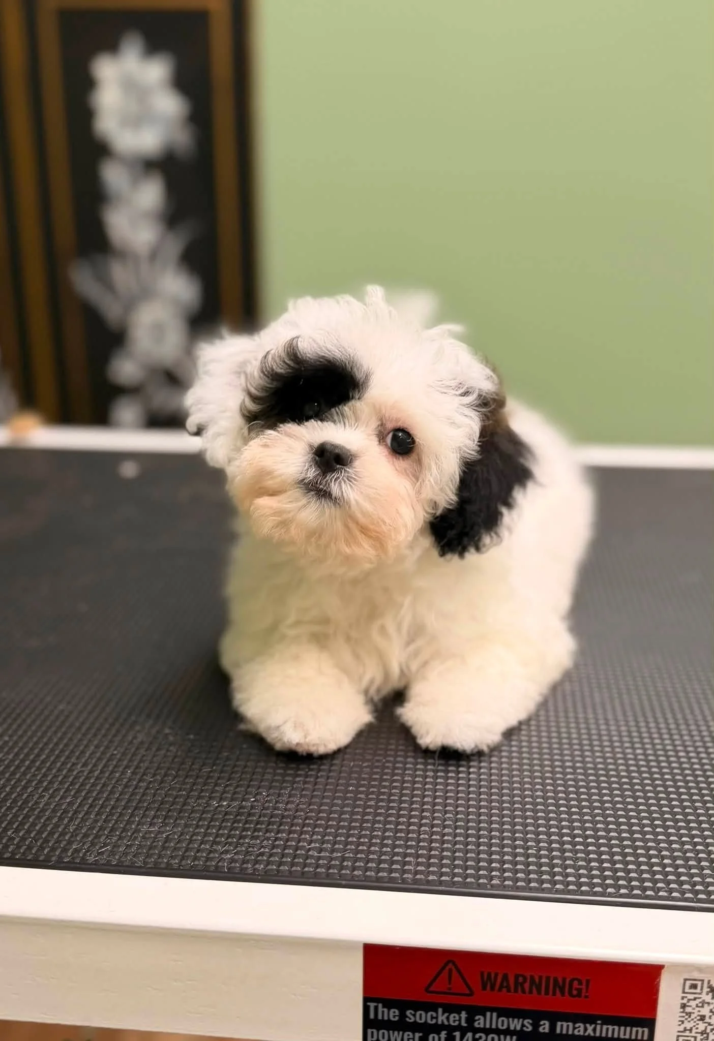 Remi