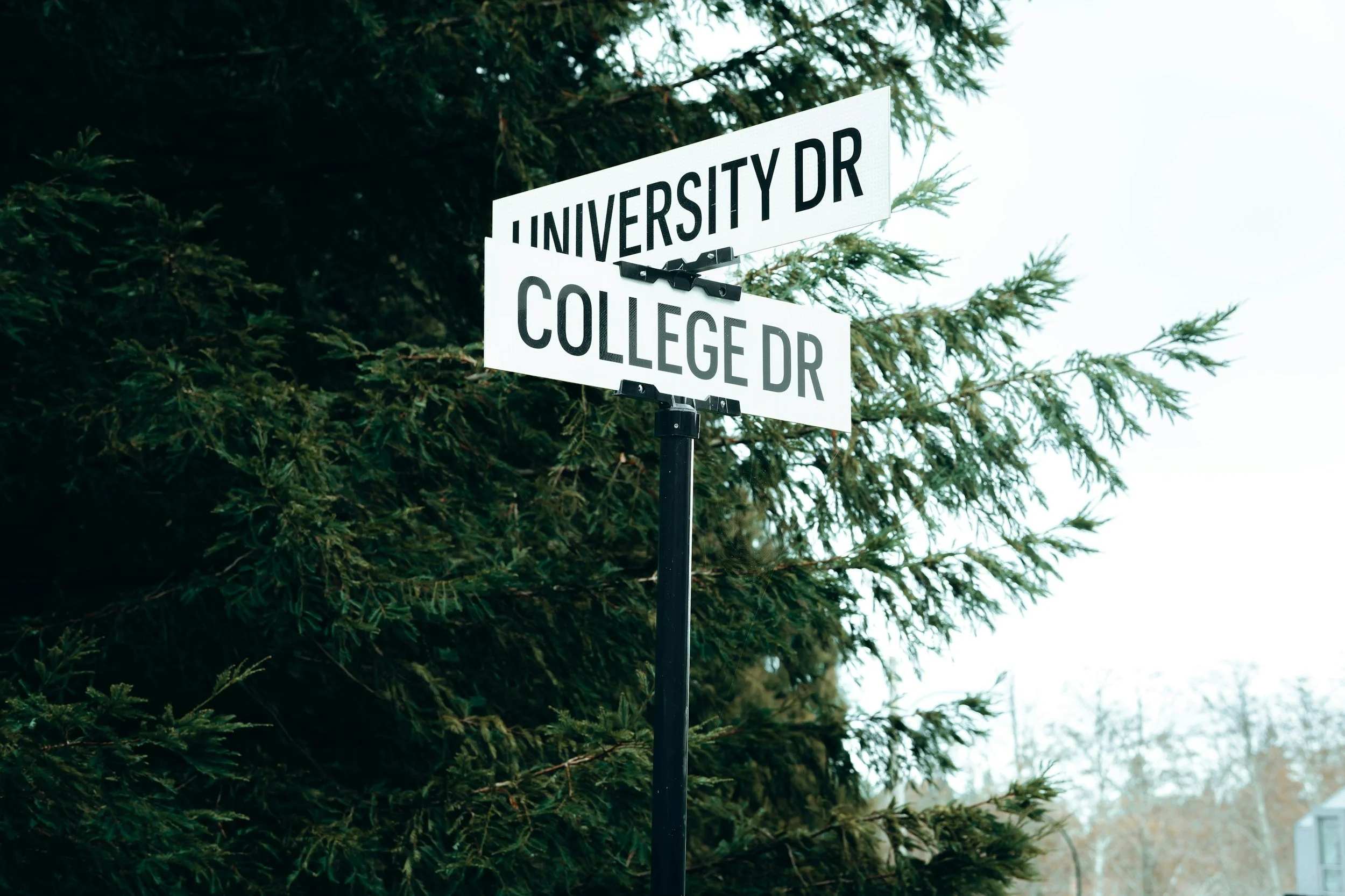 Street sign at the corner of University Drive and College Drive surrounded by green trees.