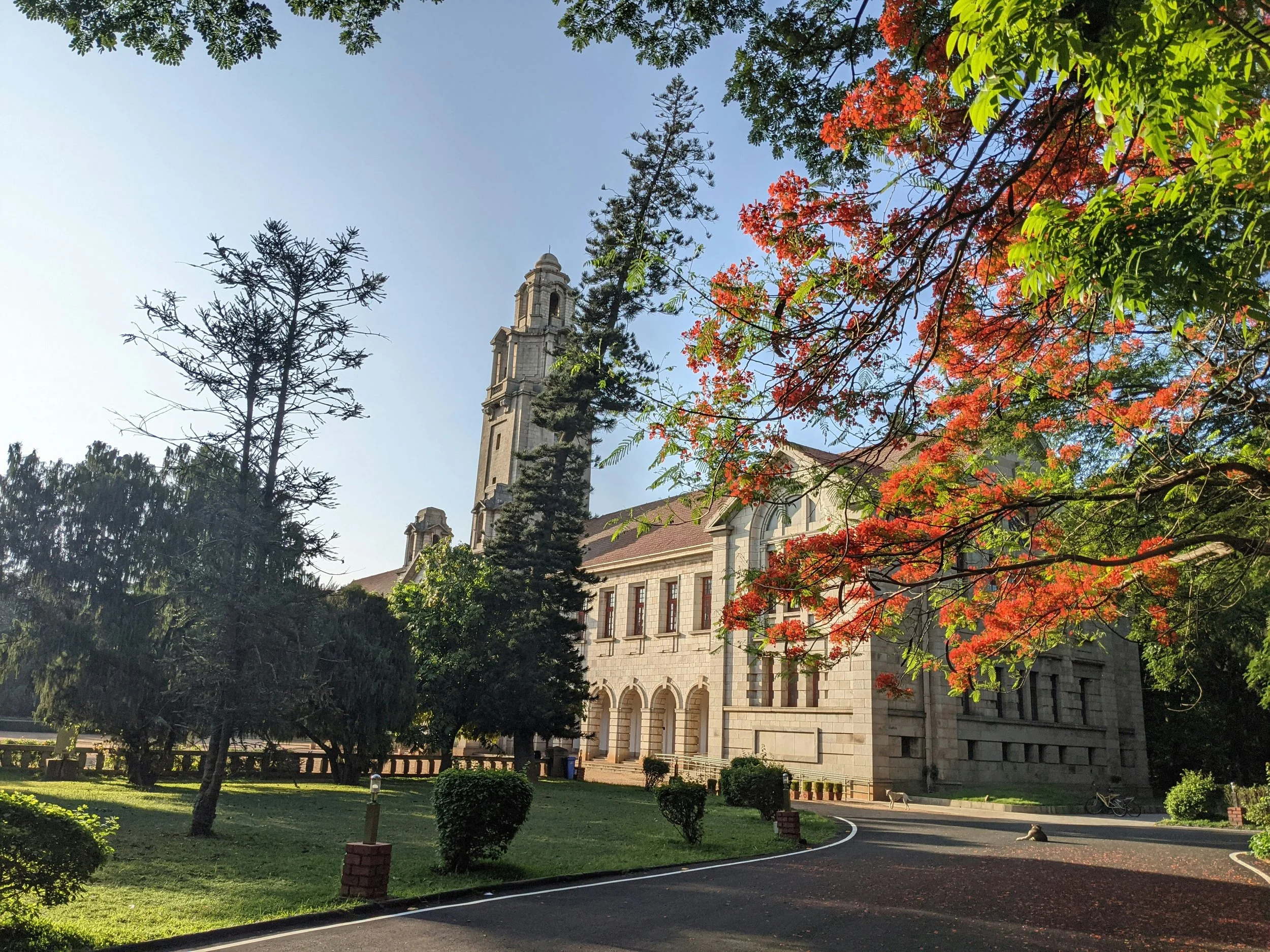 A historic building with a tall clock tower, surrounded by green trees with some foliage turning red, indicating fall. The building has arched windows and intricate architectural details, with a park or garden area in the foreground.