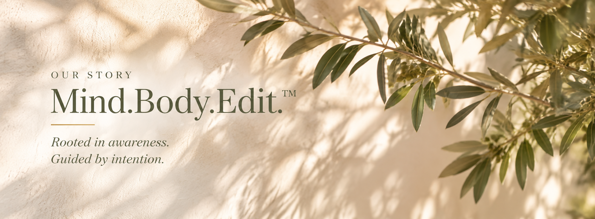 Olive branches and soft sunlight frame the Mind.Body.Edit™ Our Story banner, featuring the words “Rooted in awareness. Guided by intention.”