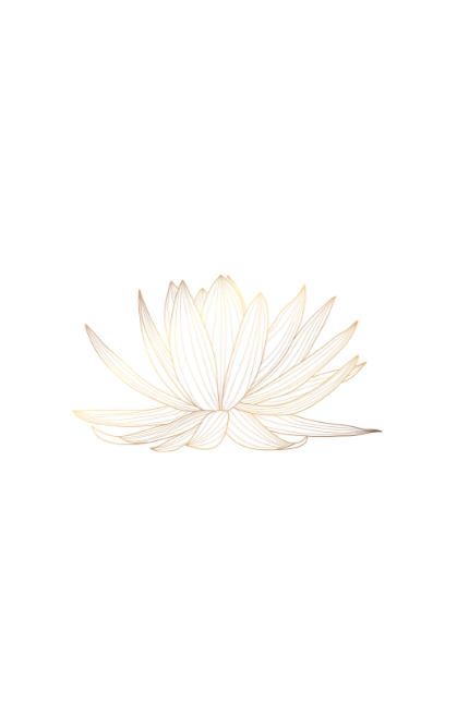 A white lotus flower with multiple petals against a black background.