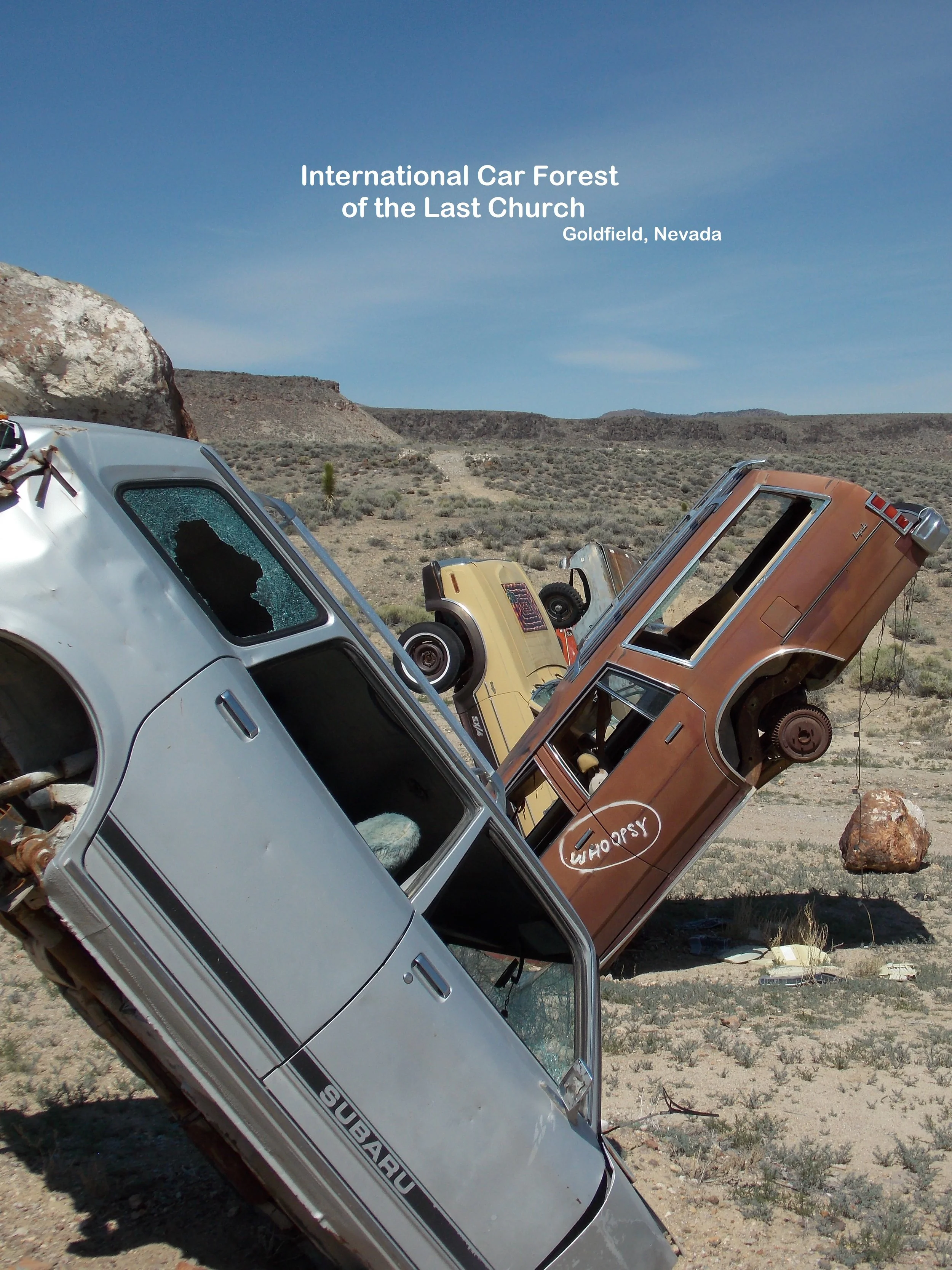 Whoopsey  Car Forest 2015.jpg