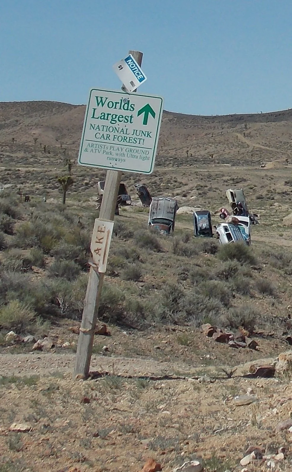Worlds largest junk car forest.jpg