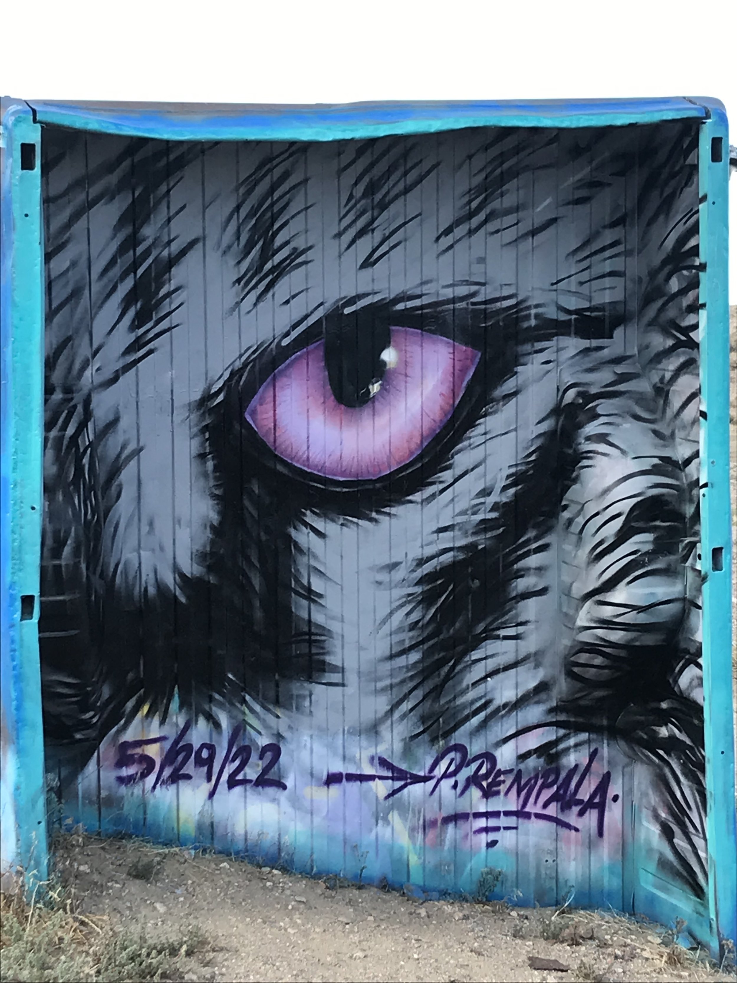 IMG_6058 Cat Eye 05-2022.jpg