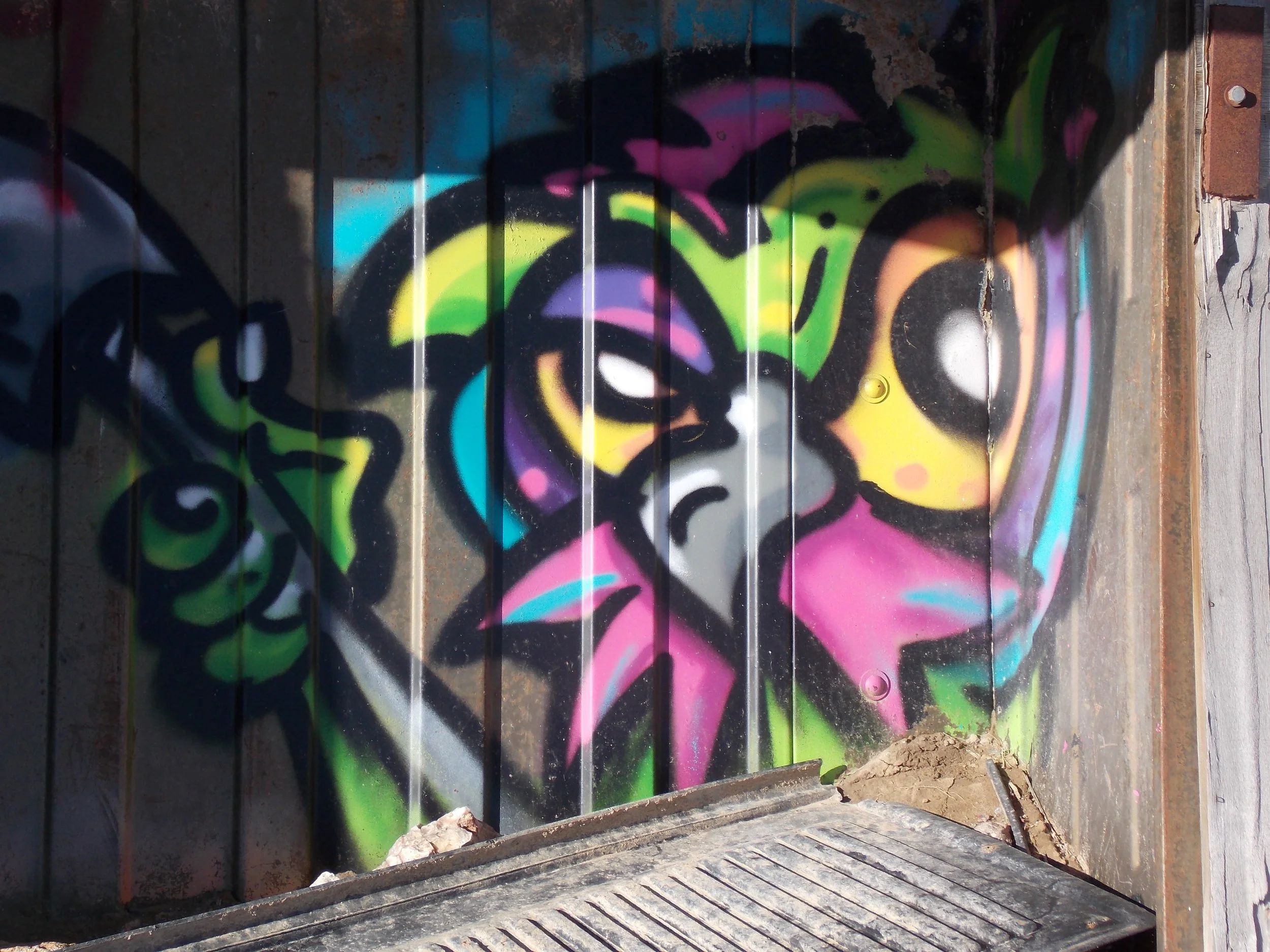 DSCN0505.JPG