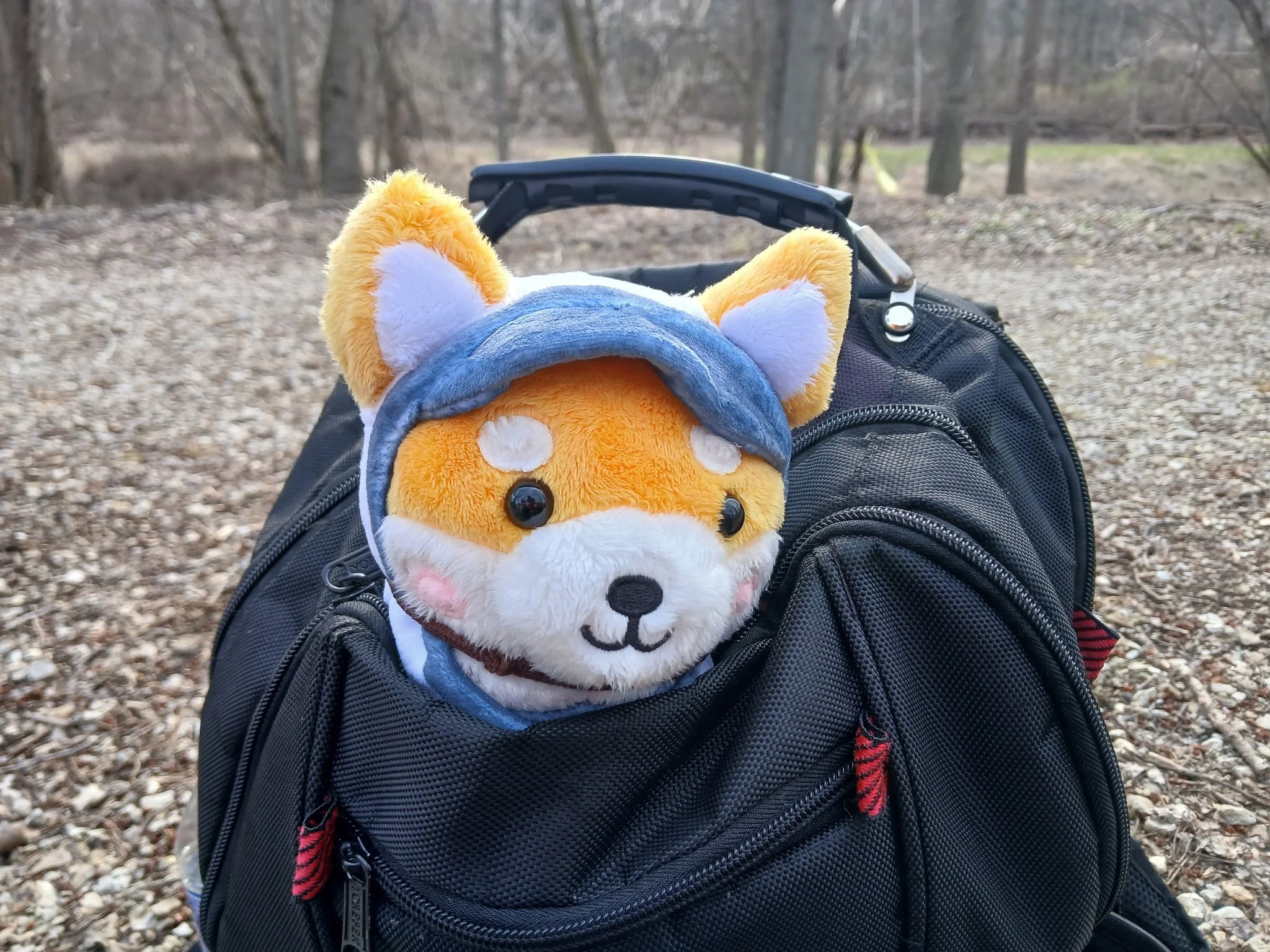 A plush fox toy with fox ears, wearing a blue hoodie, resting on a black backpack in a wooded area with bare trees and a ground covered in small rocks.