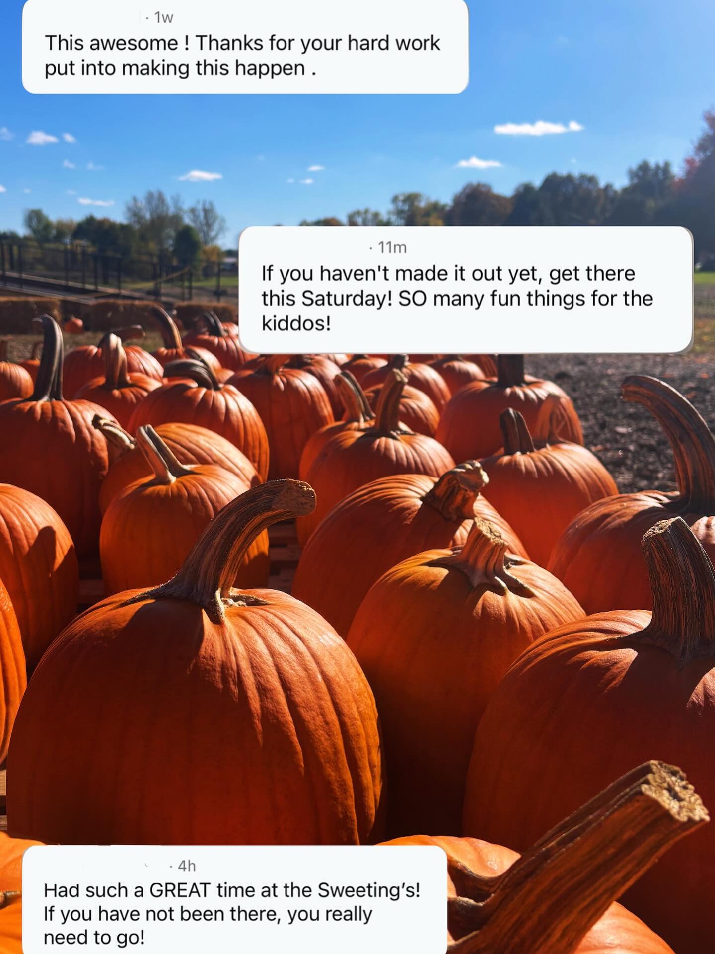 harvest_fest_006.jpg