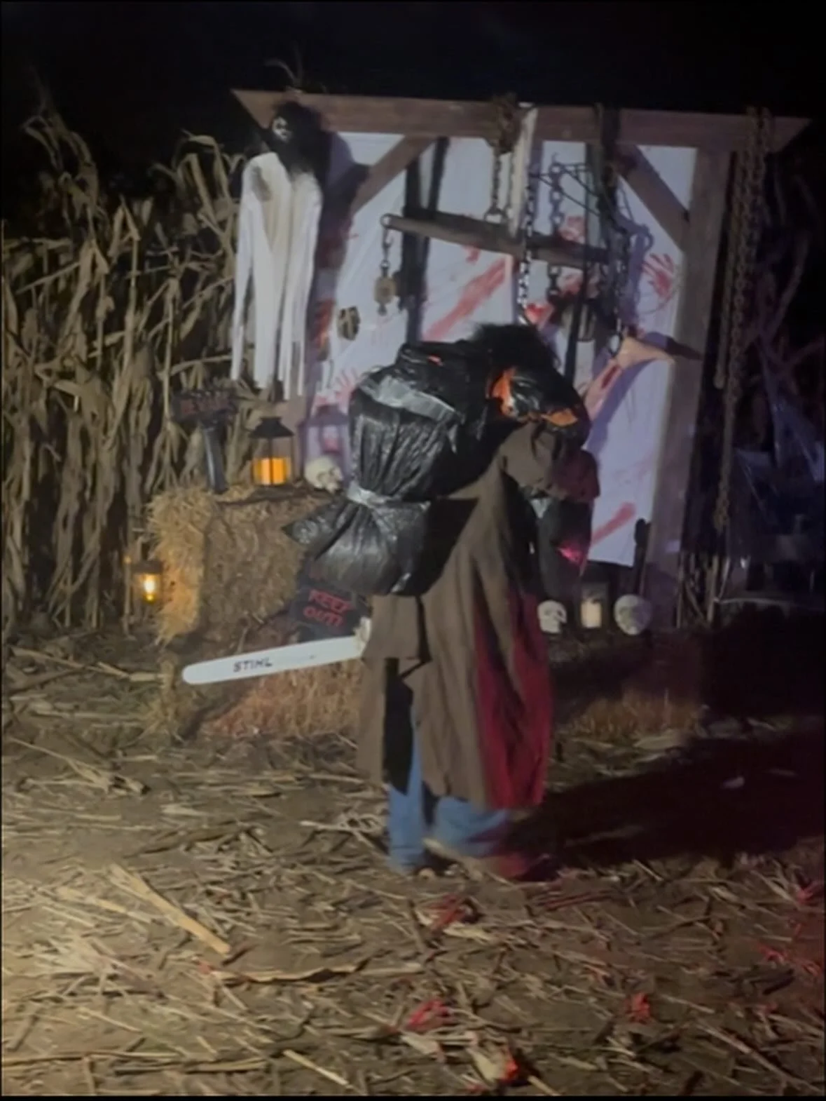 harvest_fest_011.jpg