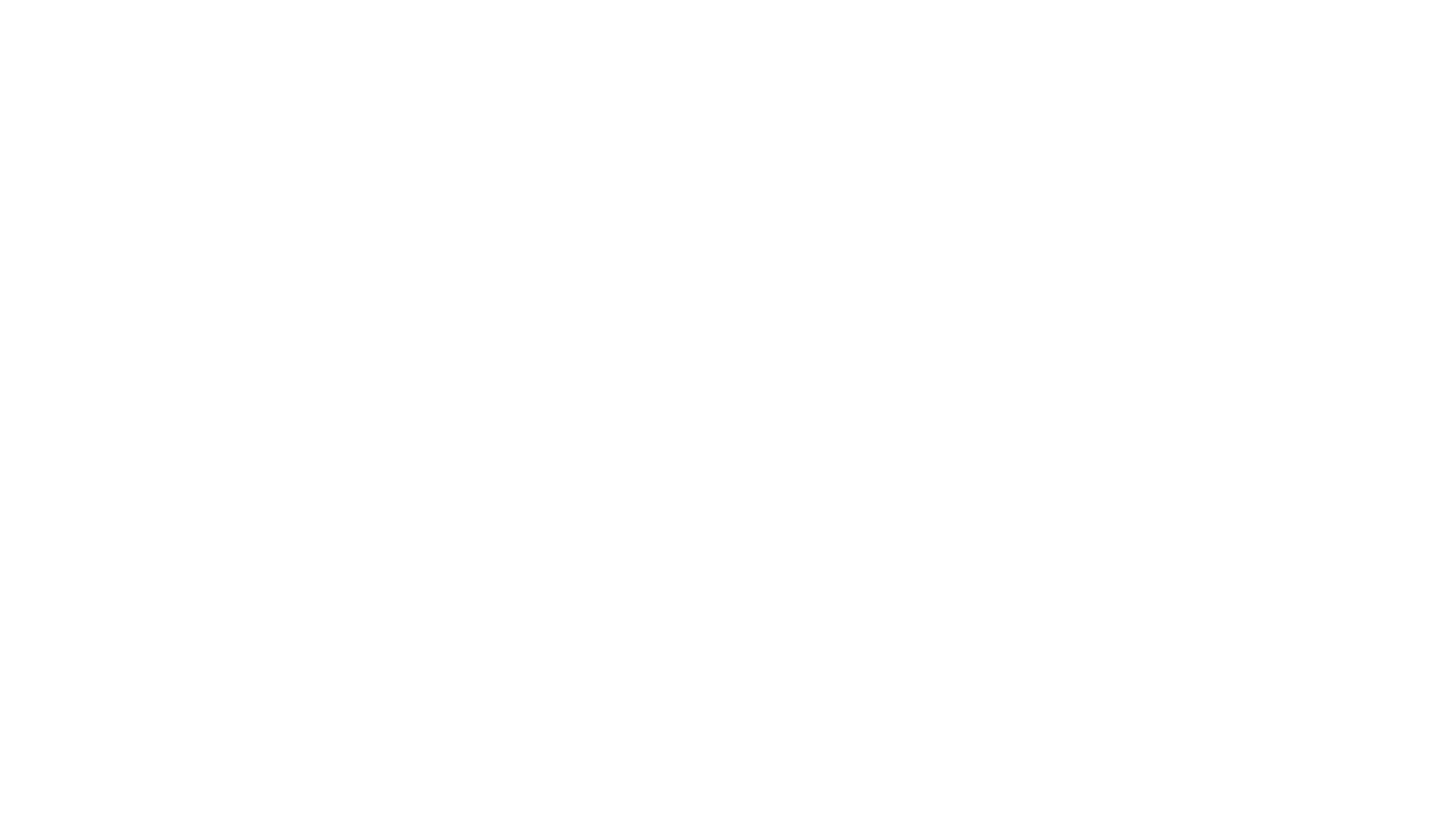 Michelle Steiner Studio