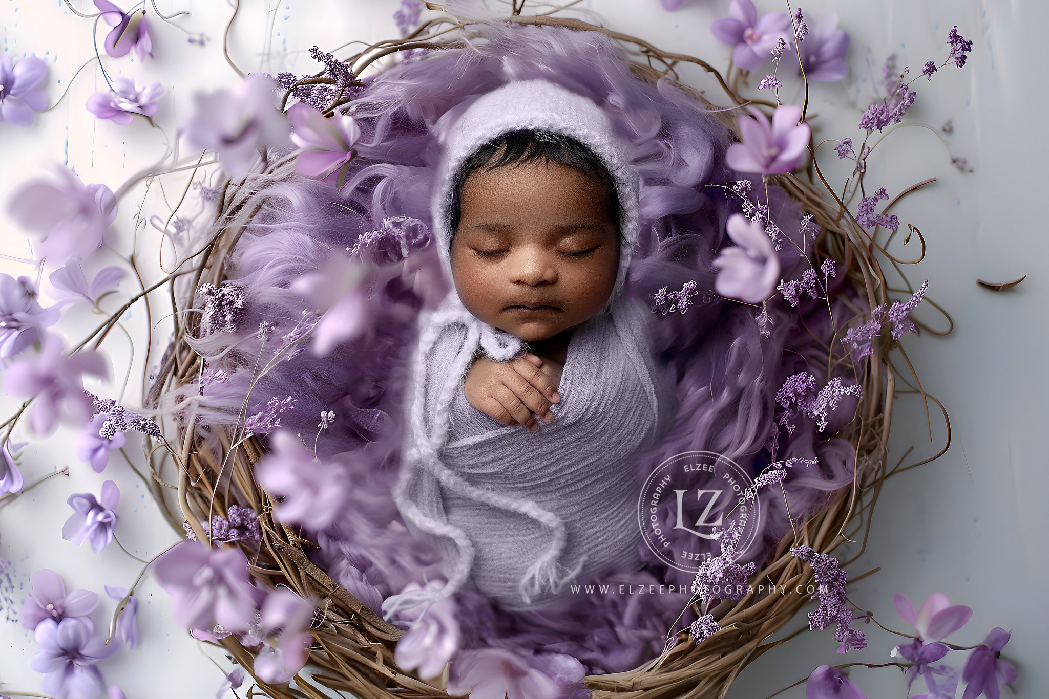 purpleflowerdigweb.jpg