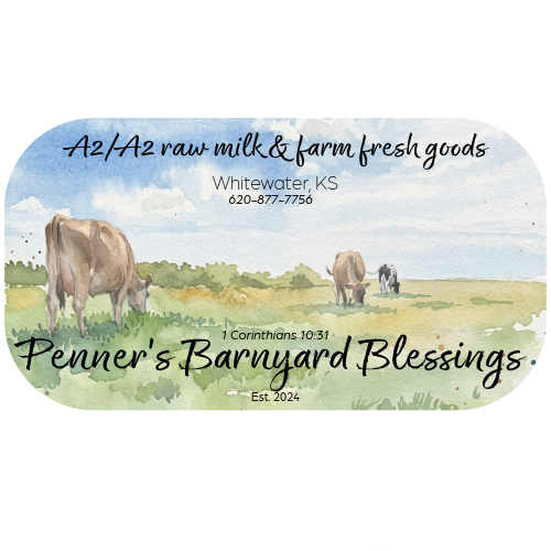 Watercolor farm label featuring grazing cows, with text for Penner’s Barnyard Blessings raw milk and farm fresh goods in Whitewater, Kansas.