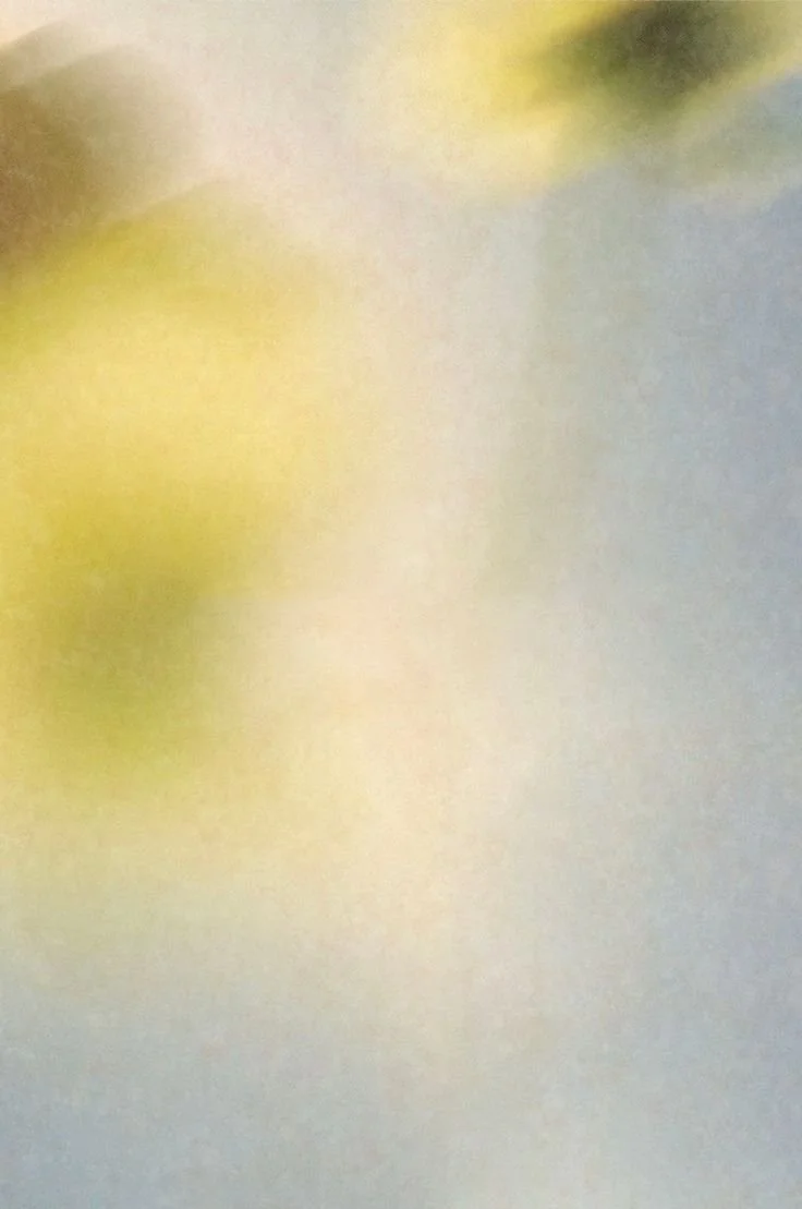 An abstract, blurry image with yellow and greenish hues and indistinct shapes.