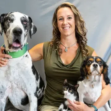 A woman sitting with a large Great Dane, a small black and white cat, and a small tricolor Cavalier King Charles Spaniel, all indoors.
