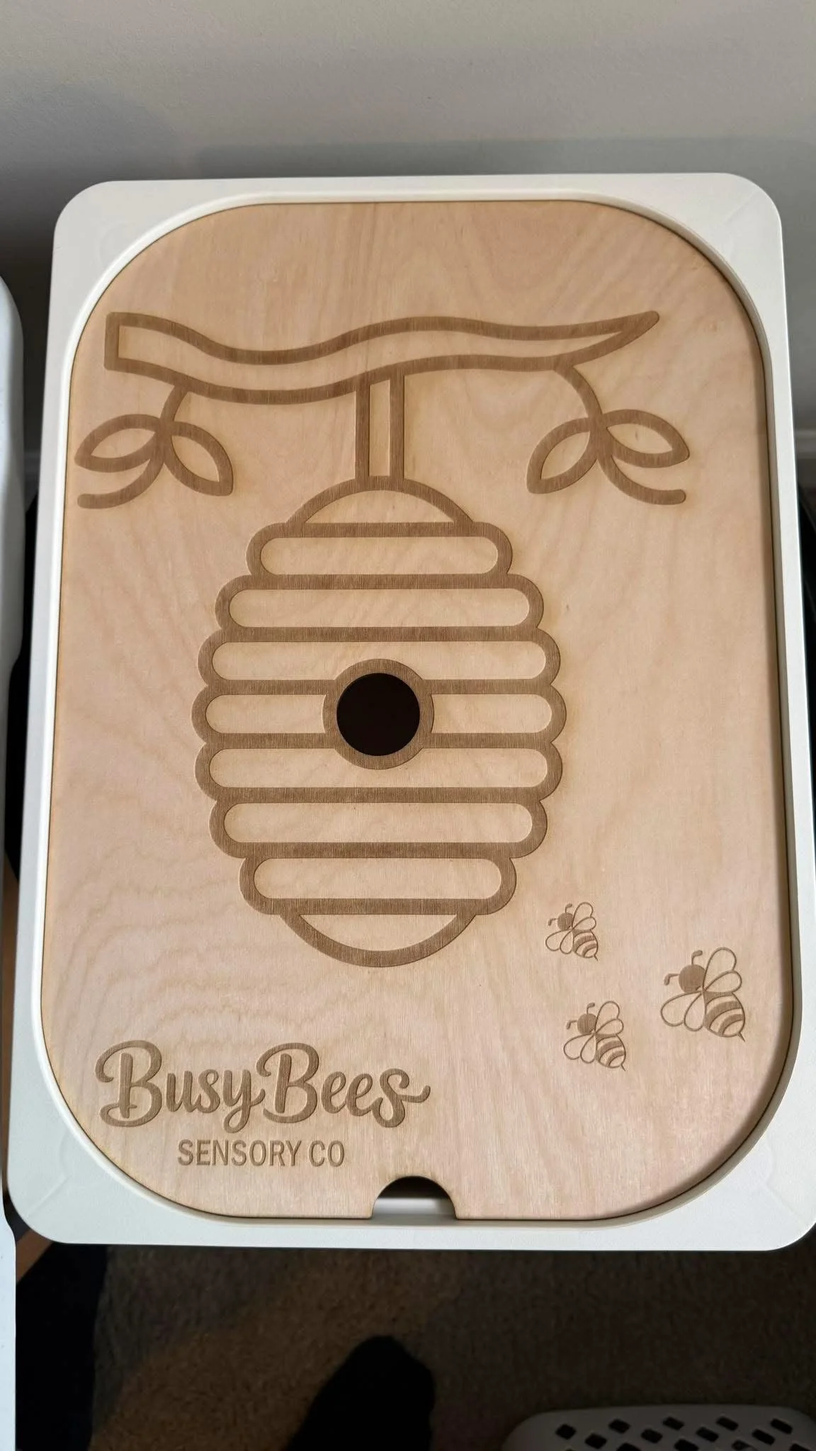 Bin with Wooden Lid (SK).jpg