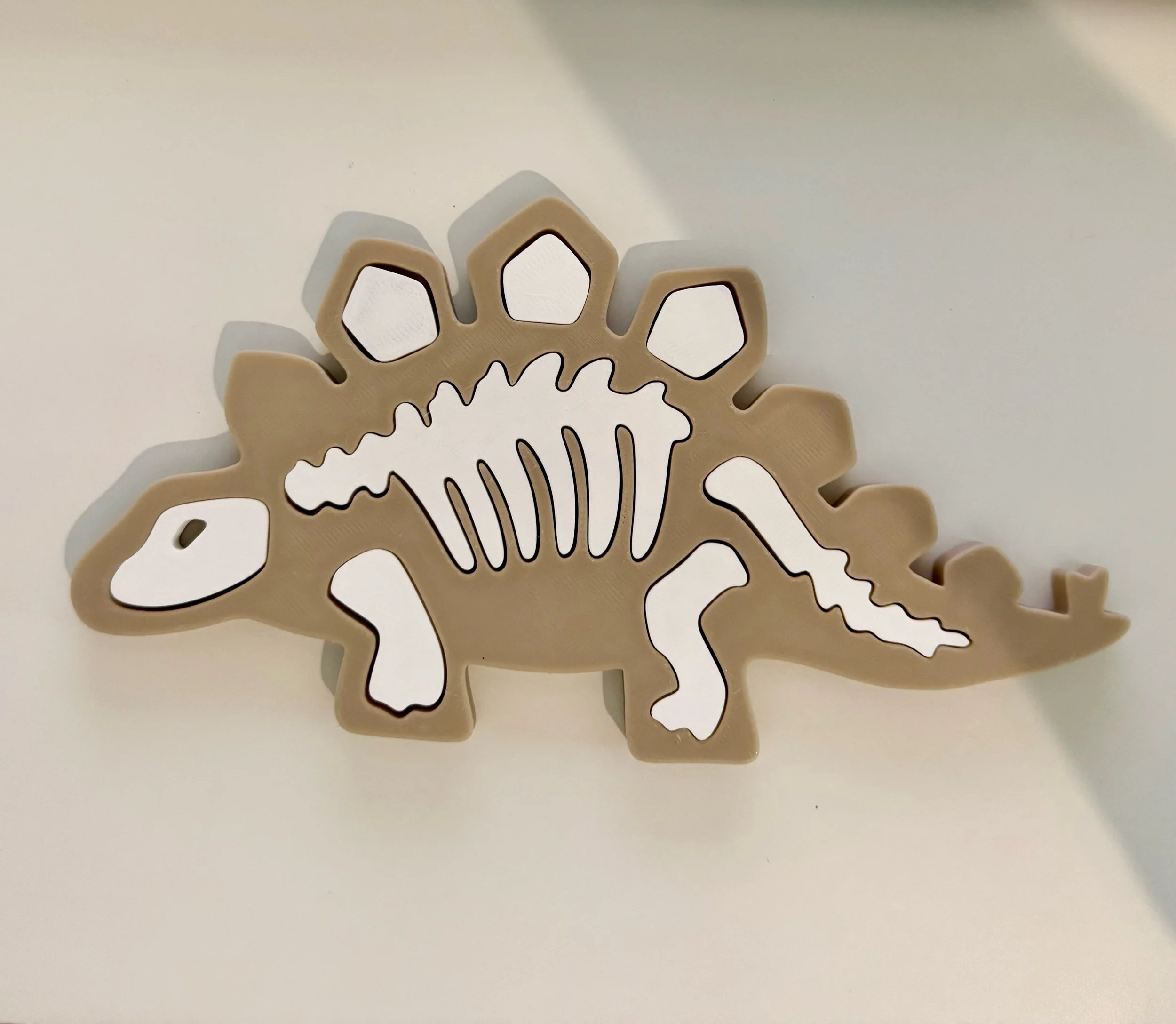 Dino Fossil Puzzle