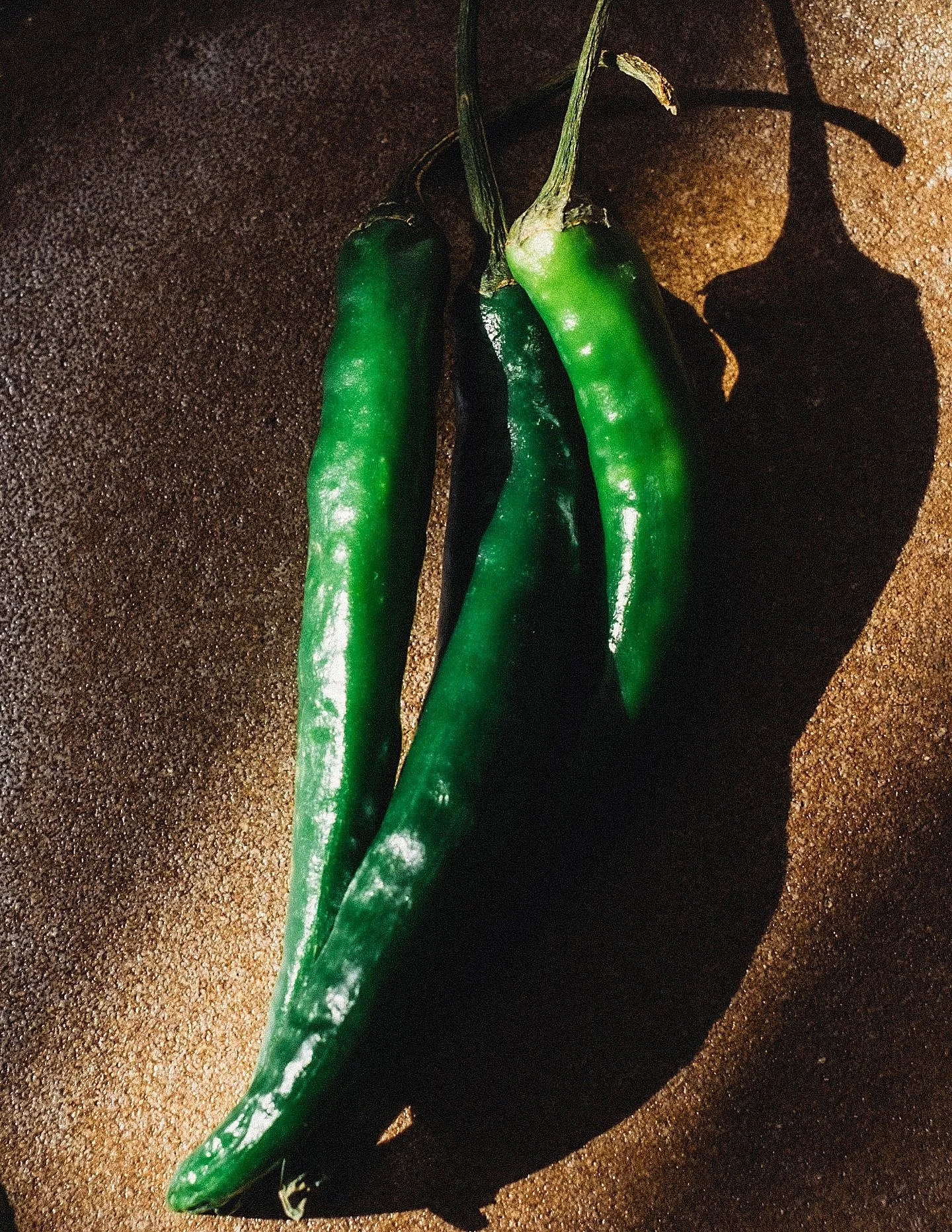 the MINIMAL for @toothsome_magazine issue II launch

ingredient process :: 

@thelostexplorer Espad&iacute;n herby / mesquite / soft woody finish

long green finger chillies for their grassy / citrus / soft heat

jasmine for its floral / subtly sweet
