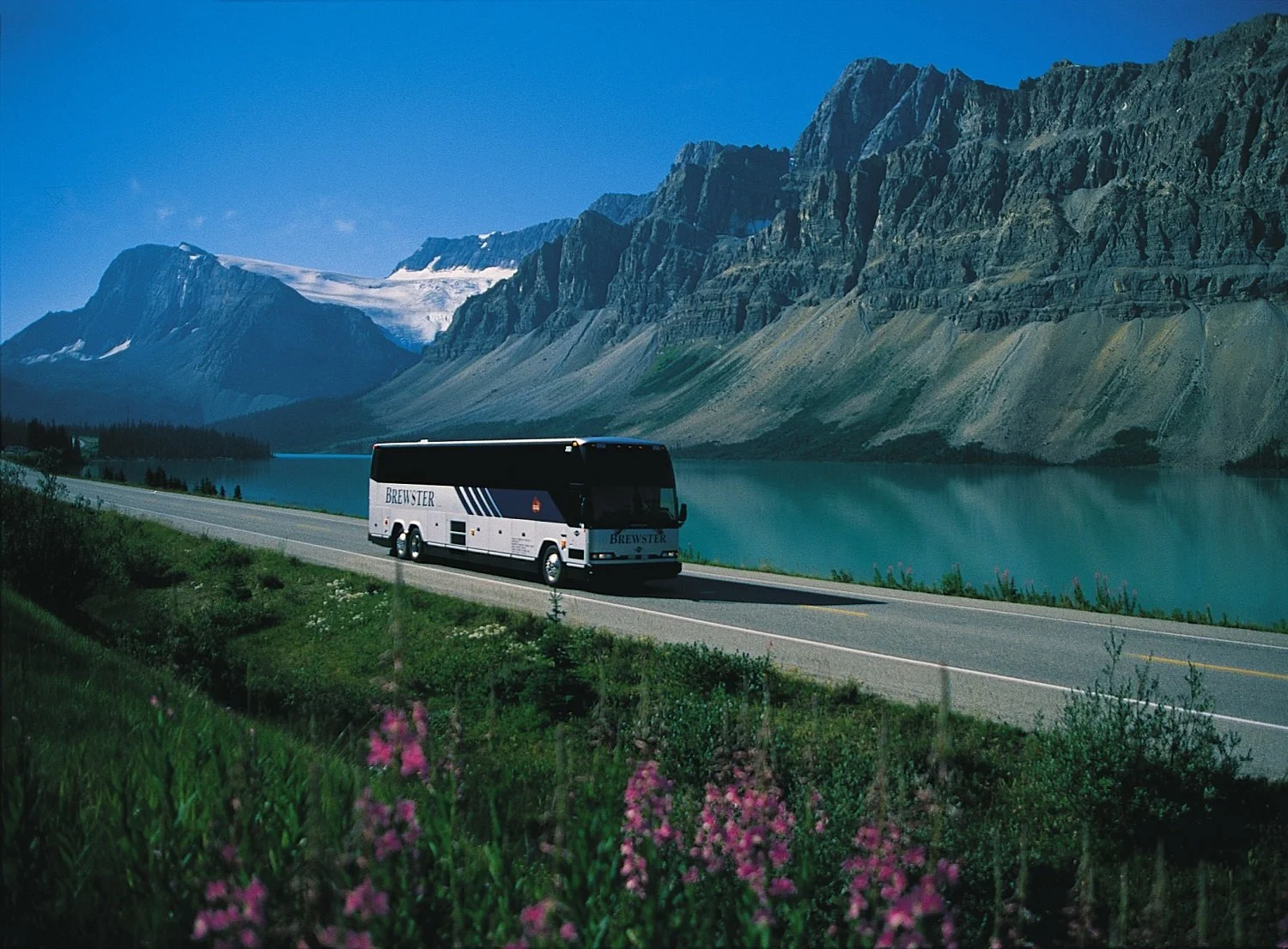 A bus traveling on a scenic road beside a large lake, with towering mountains in the background and pink flowers in the foreground.