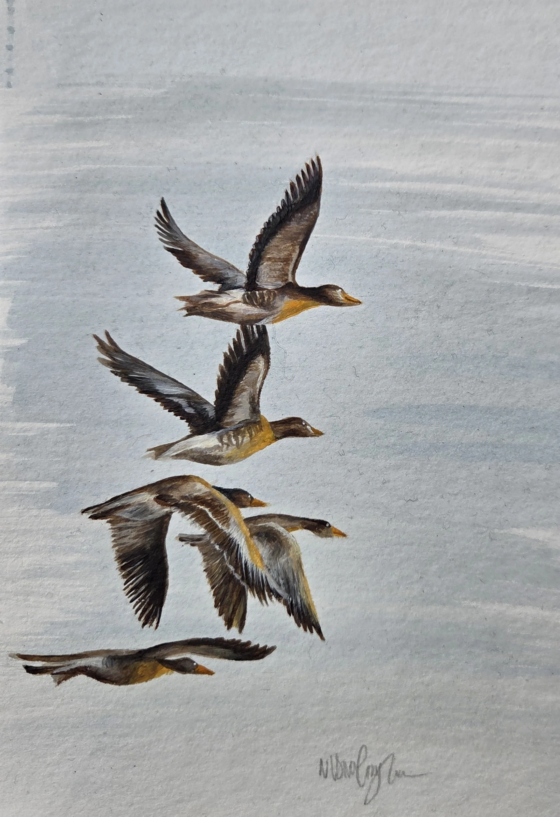 Zugvogel