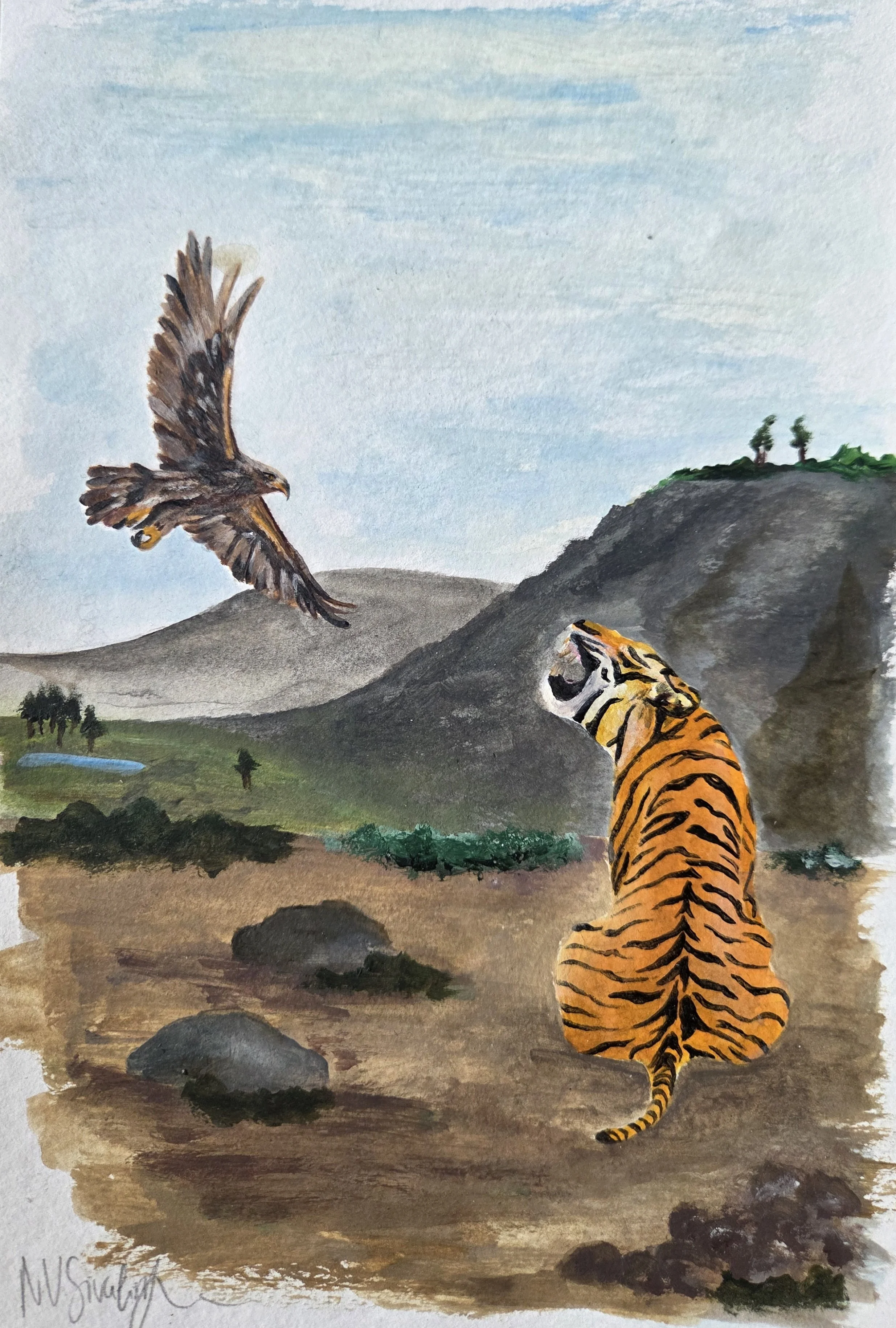 deutscher Adler vs tamilischer Tiger
