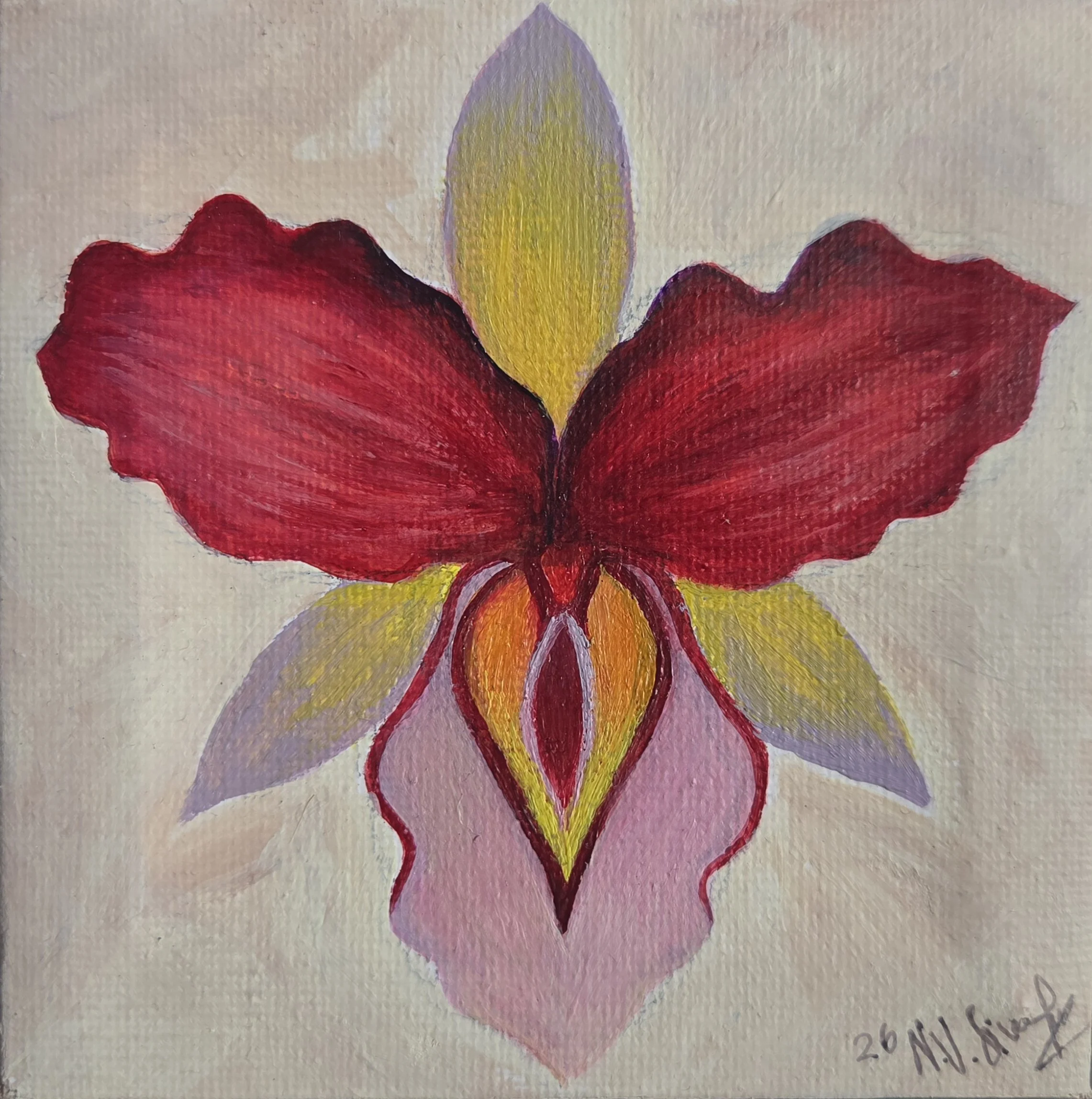 orchidee
