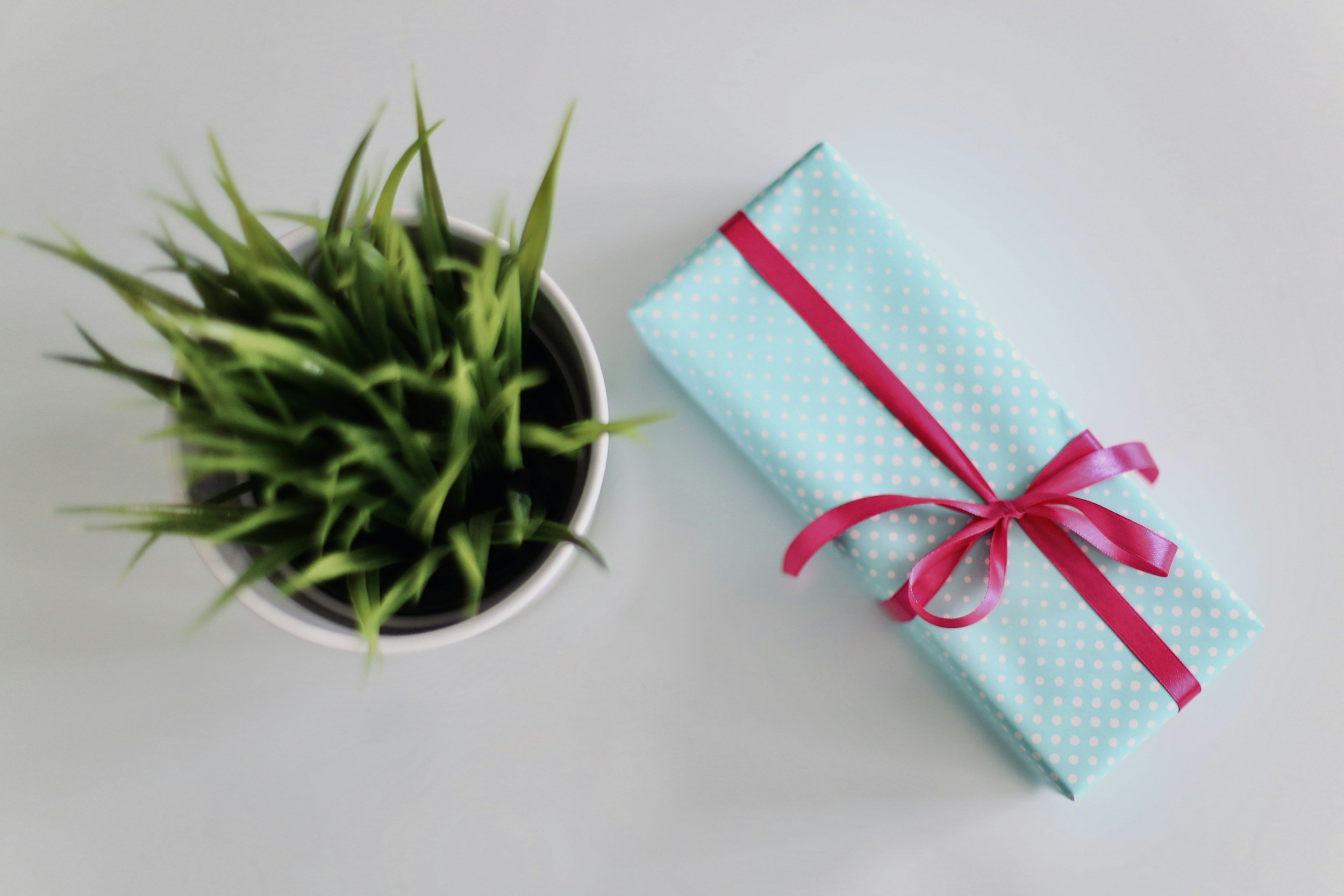 A Thoughtful Gift for Any Occasion