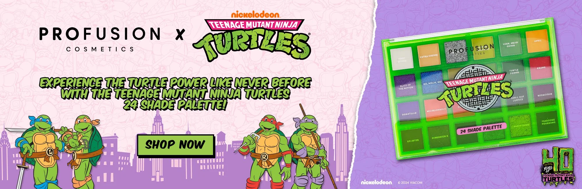 TMNT_Web Banner Idea_Updated_2 copy.jpg