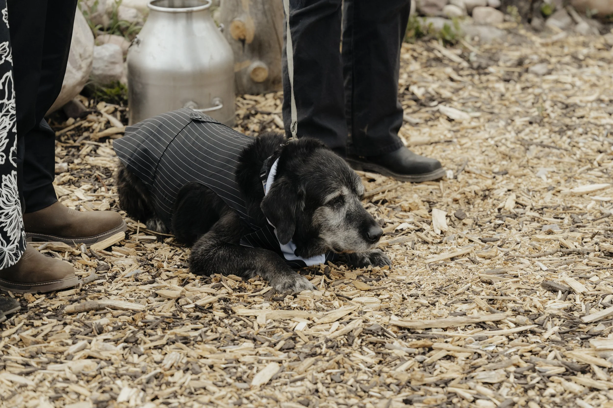 Zemi + JD Wedding | Snipits-290.jpeg