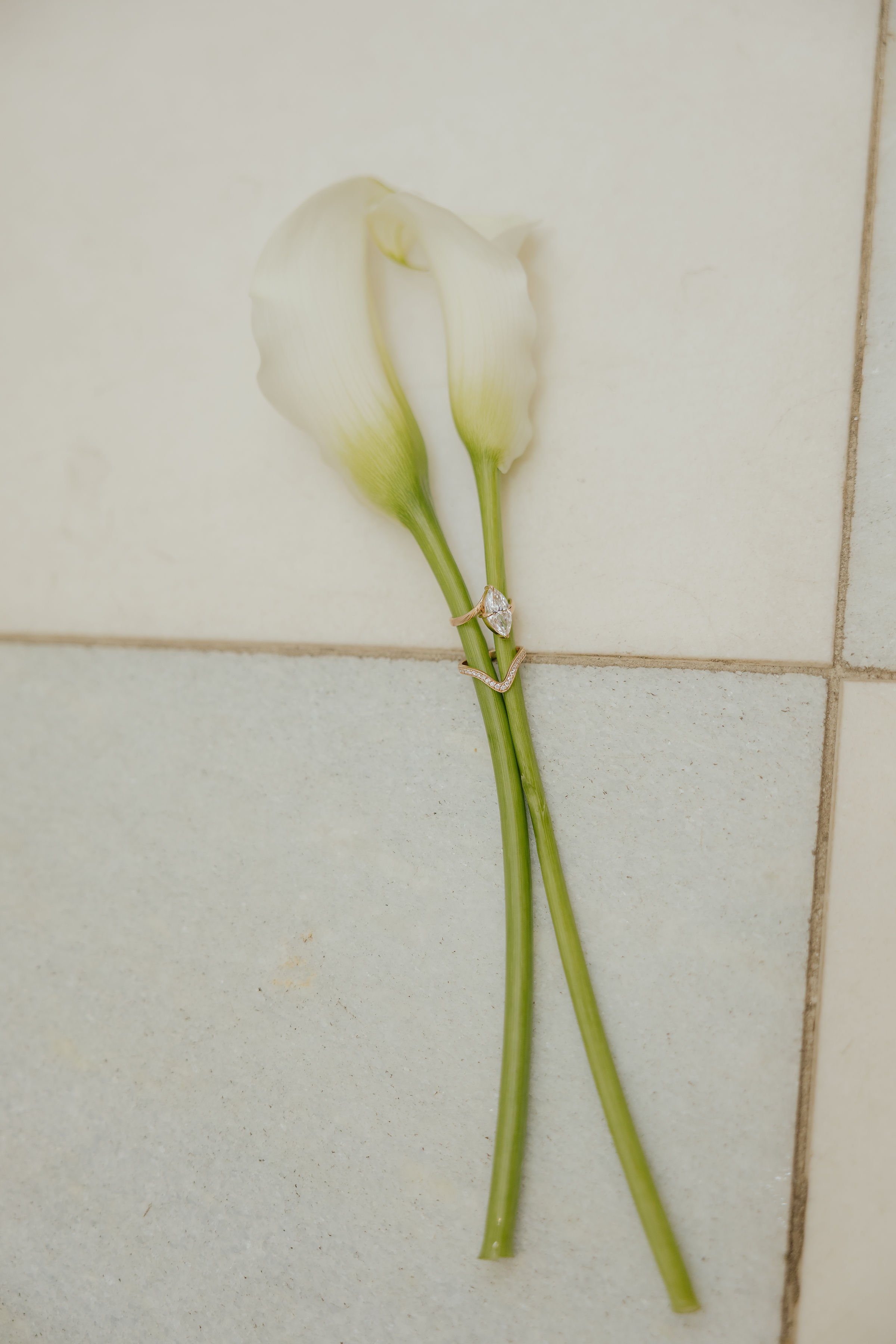IMG_5458.jpeg