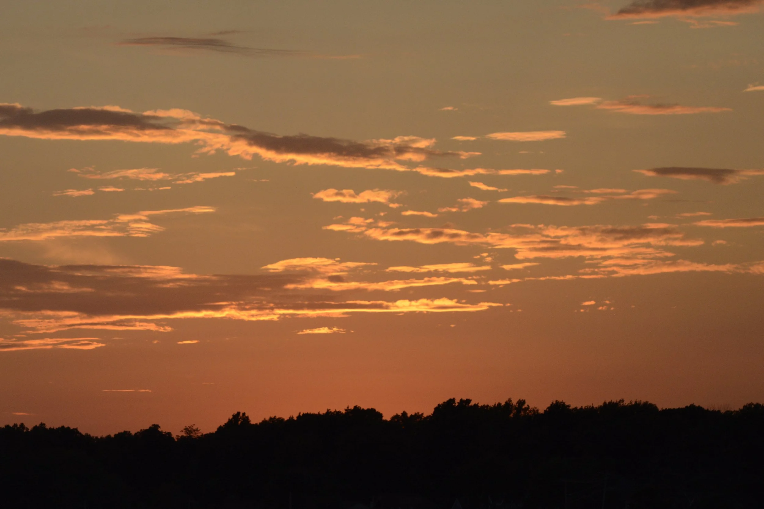 Sunset Photos