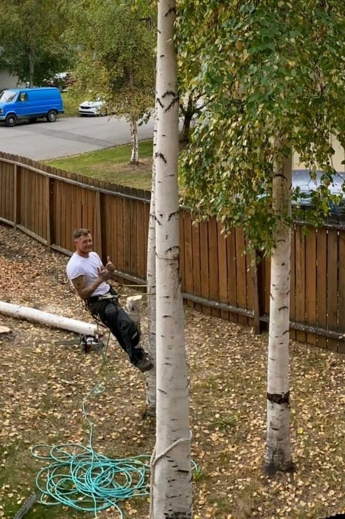 A man is sitting on a tree branch, smiling and showing a thumbs-up. He is wearing a white t-shirt and black pants, and appears to be working on trimming or climbing a tree. There is a coiled garden hose on the ground nearby, and a wooden fence in the background with a couple of other trees. A blue van and some cars are visible on the street beyond the fence.