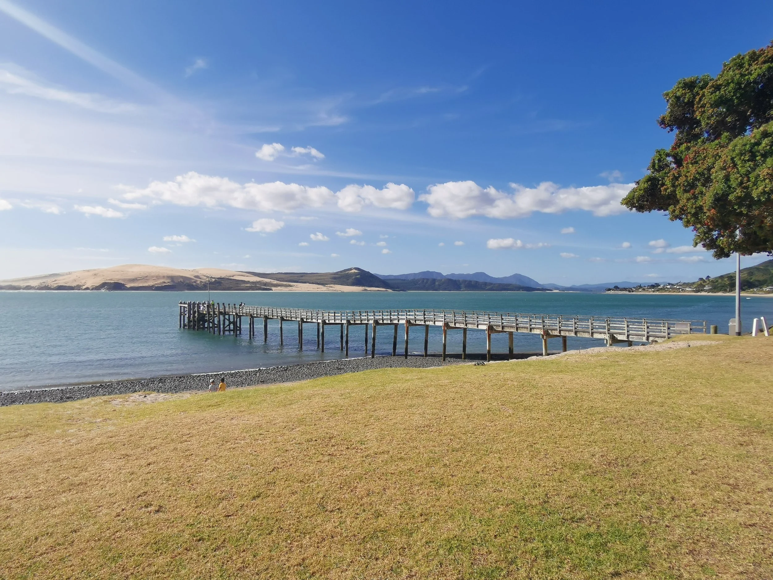 Opononi pier, wharf