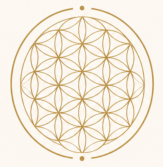 Comprehensive Psychedelic Safety Consultation- 50 minutes