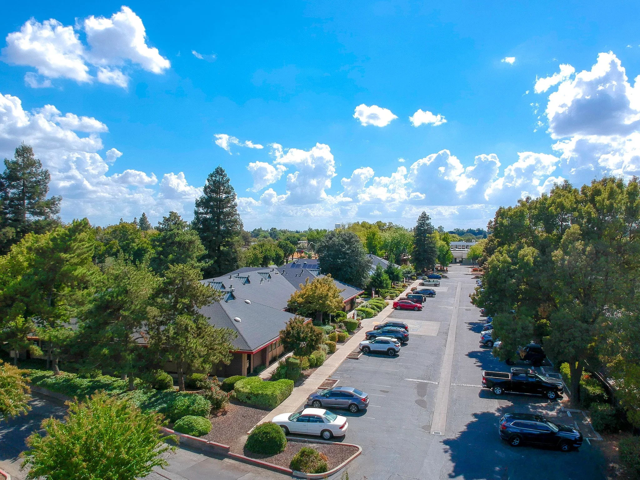 DJI_0322.jpg