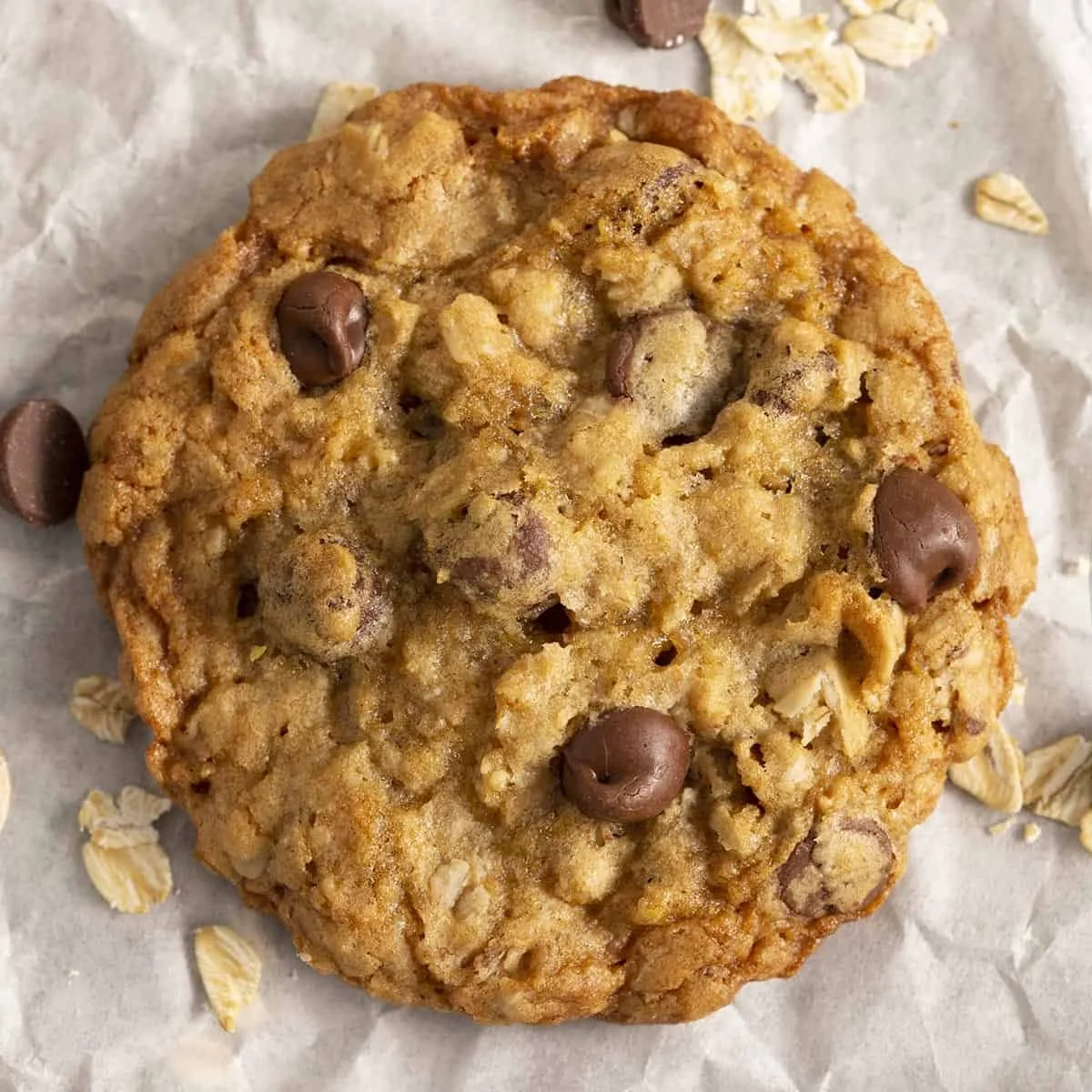 Oatmeal Chocolate Chip
