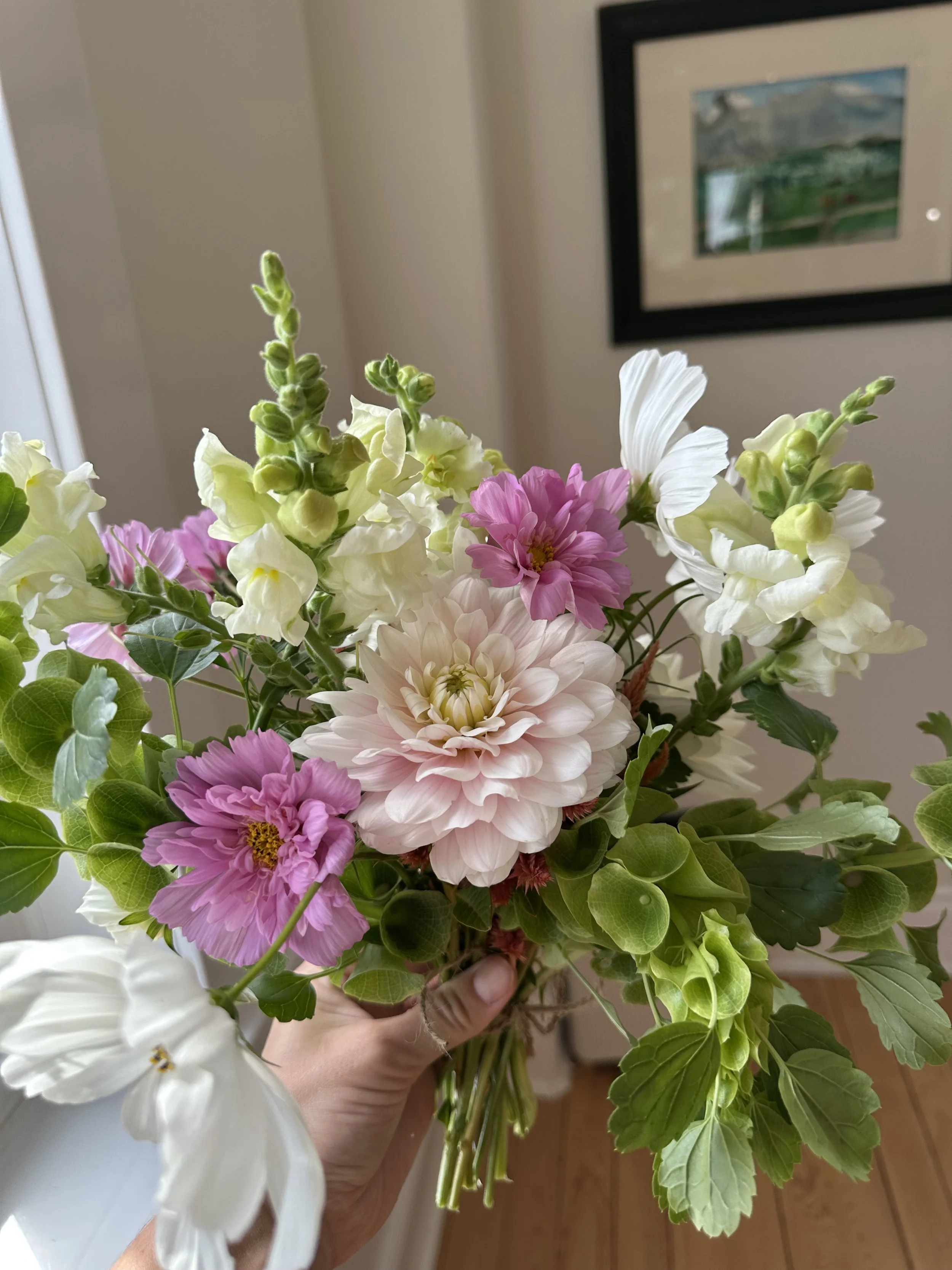 Hand holding a colorful bouquet of pink, white, and yellow flowers with green leaves, indoors
