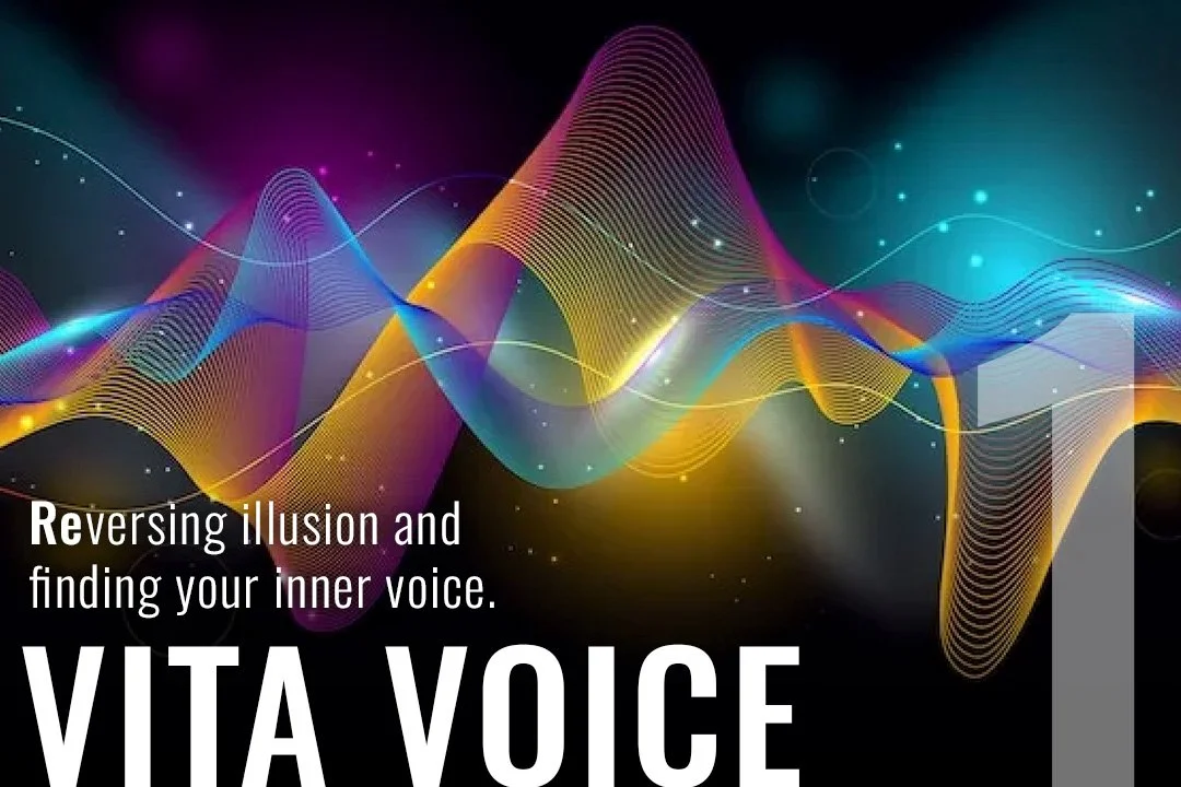 Why Vita Educare Matters Today&nbsp;