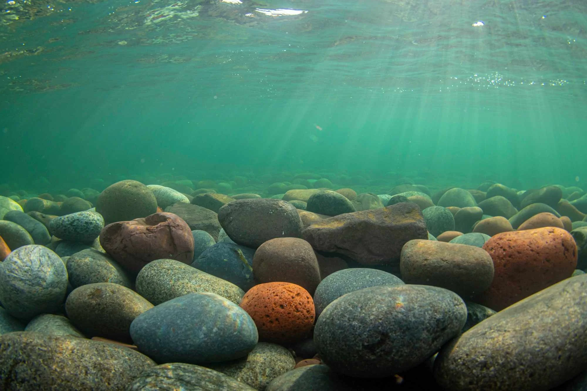 Underwater view of colorful smooth river stones at the bottom of a clear body of water, with sunlight filtering through the surface.