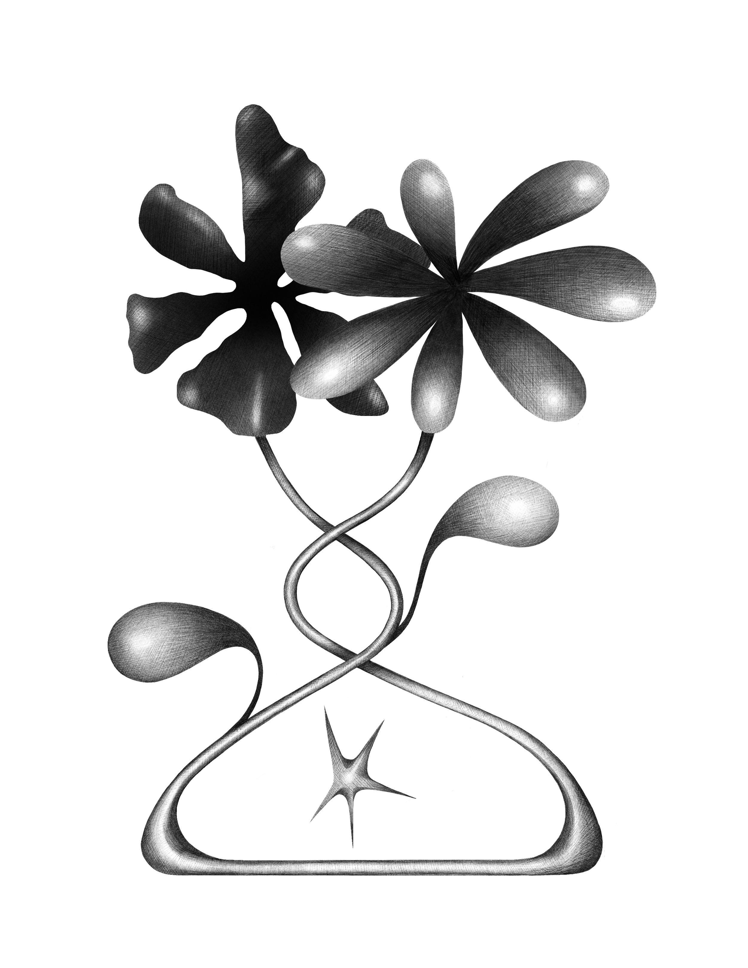 Untitled_Artwork 15.png