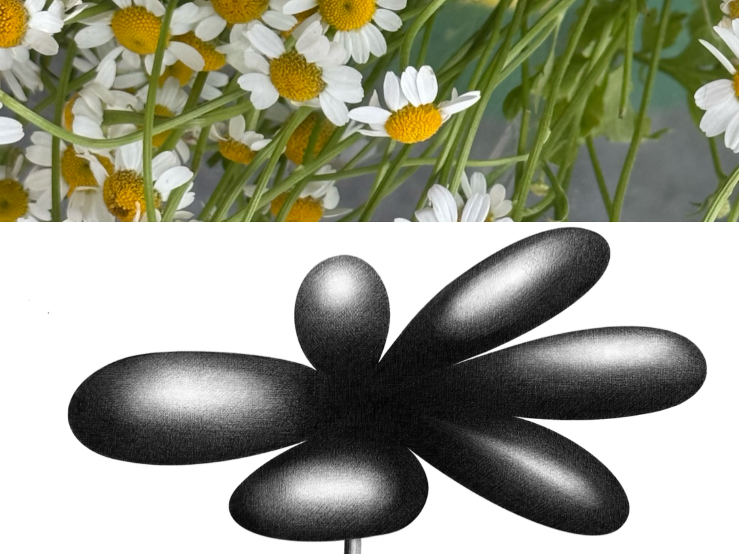 8C3B1838-41CA-470A-A98B-7BD13AF5D788.png