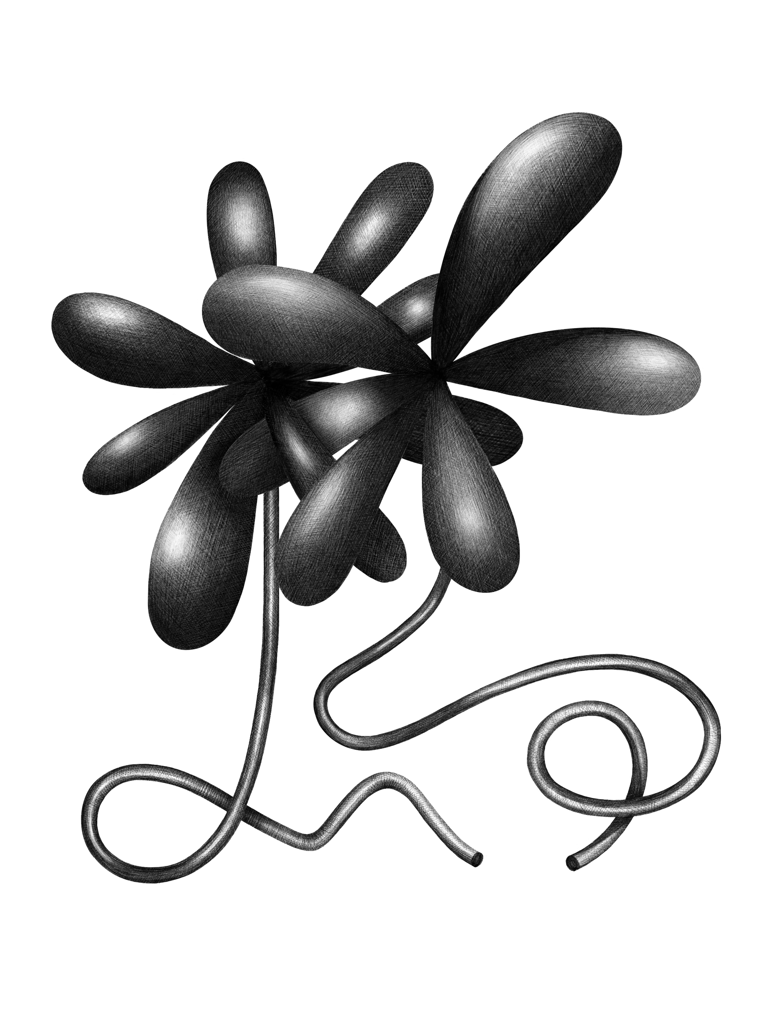 Untitled_Artwork 16.png